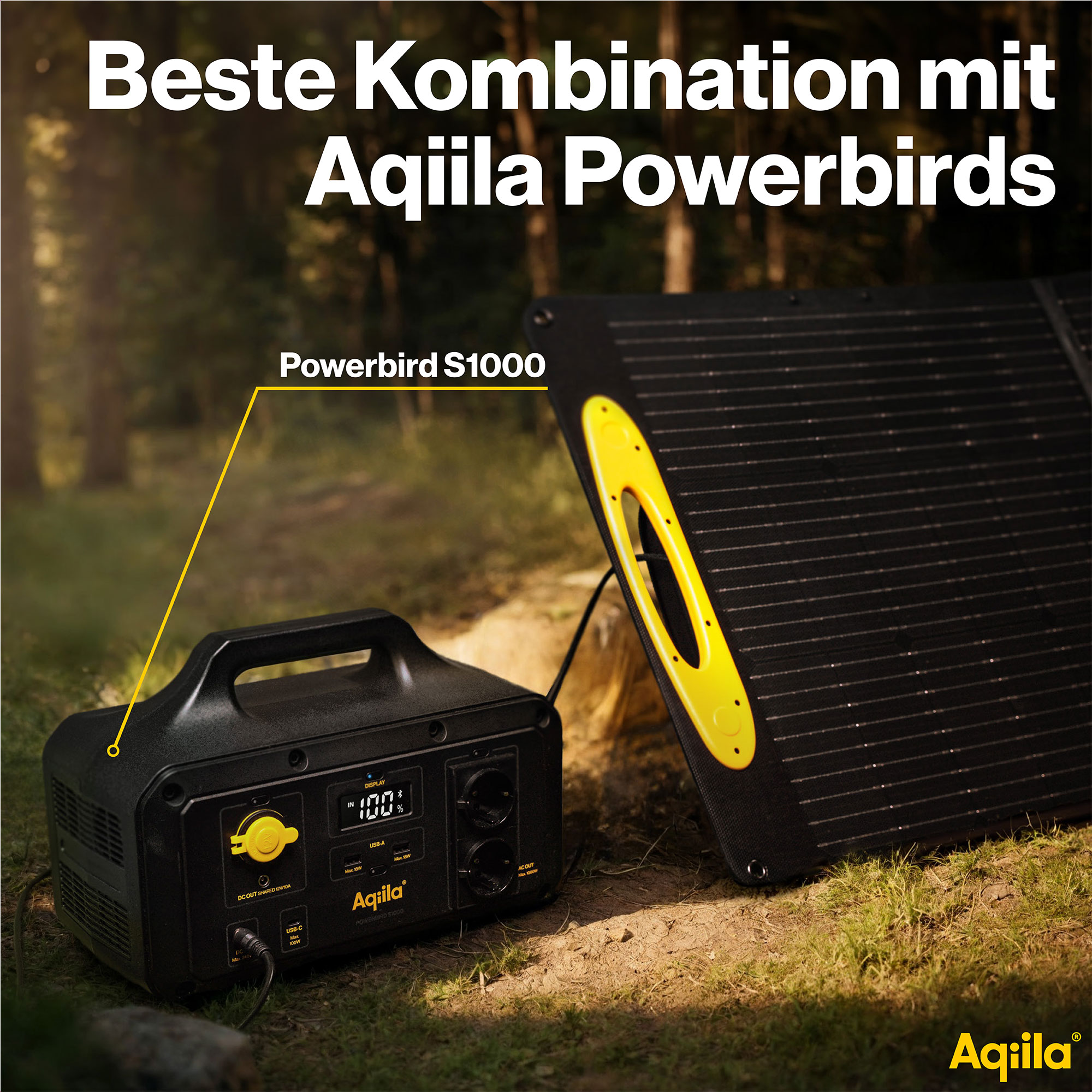 AQIILA Solarpanel Sunbird P100, 100 W, schwarz AQIILA Solarpanel Sunbird P100, 100 W, schwarz
