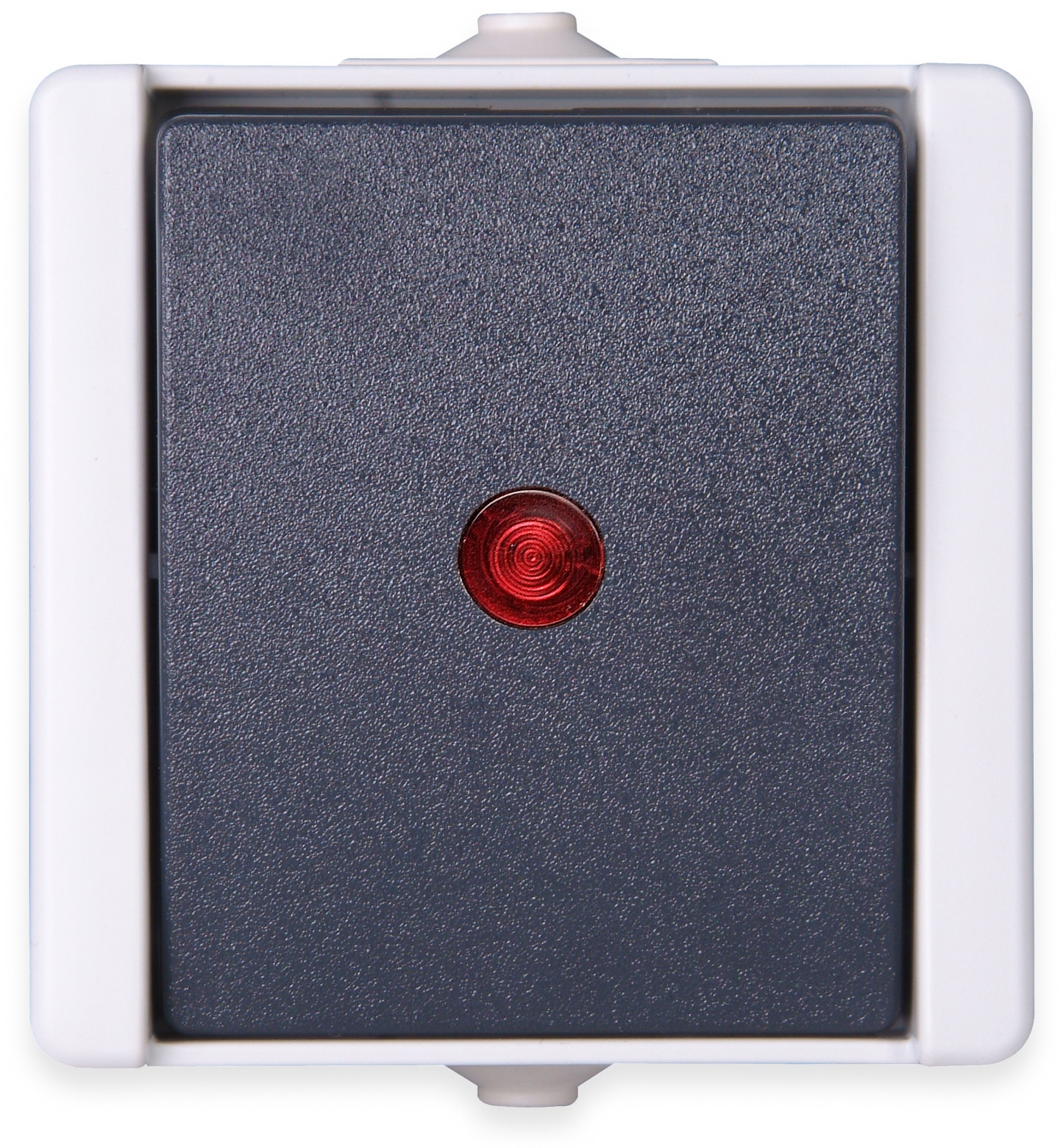 KOPP Feuchtraum-Kontrollschalter proAQA 541656003, grau