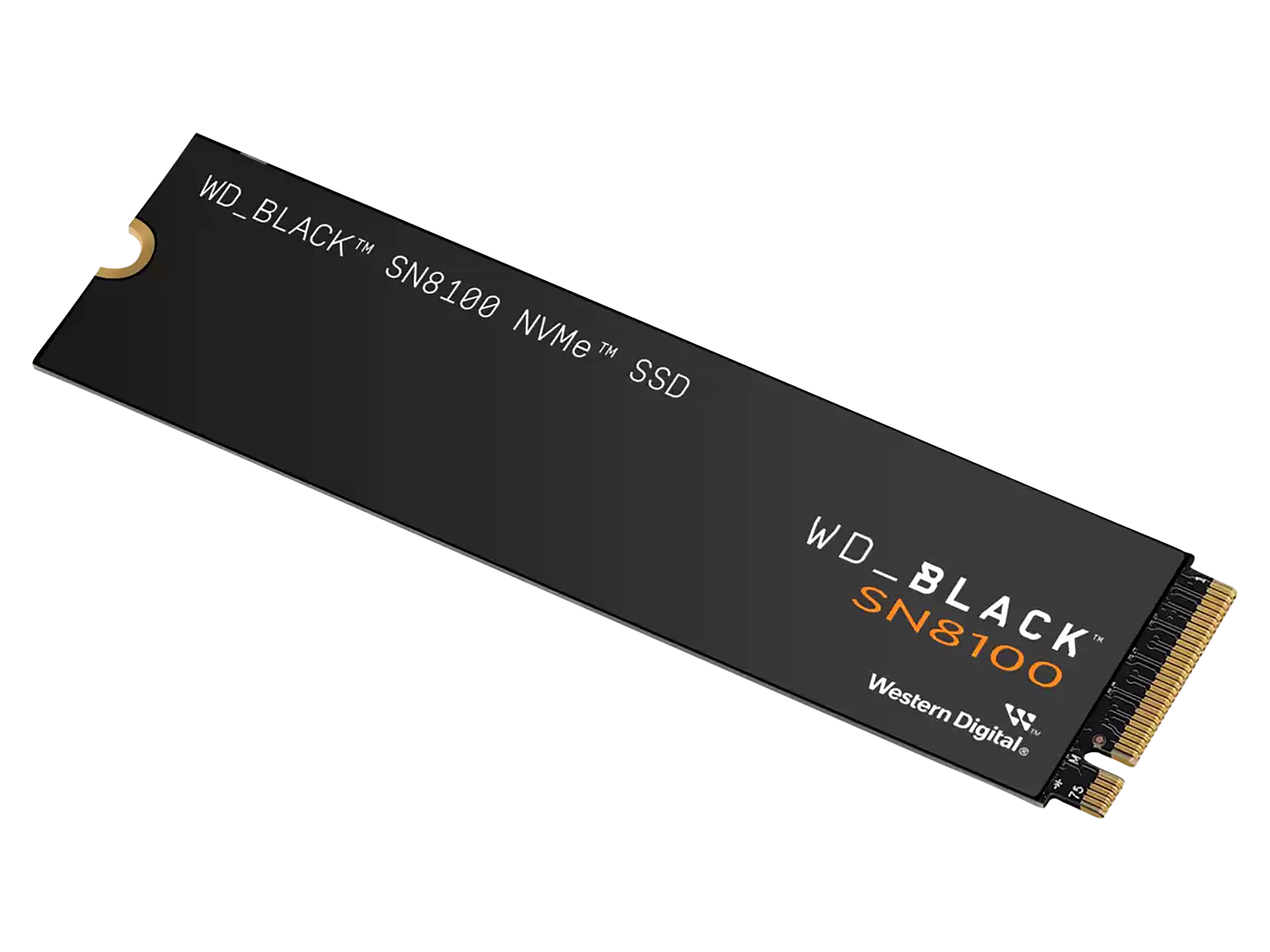 WD M.2 SSD Black SN8100 1TB