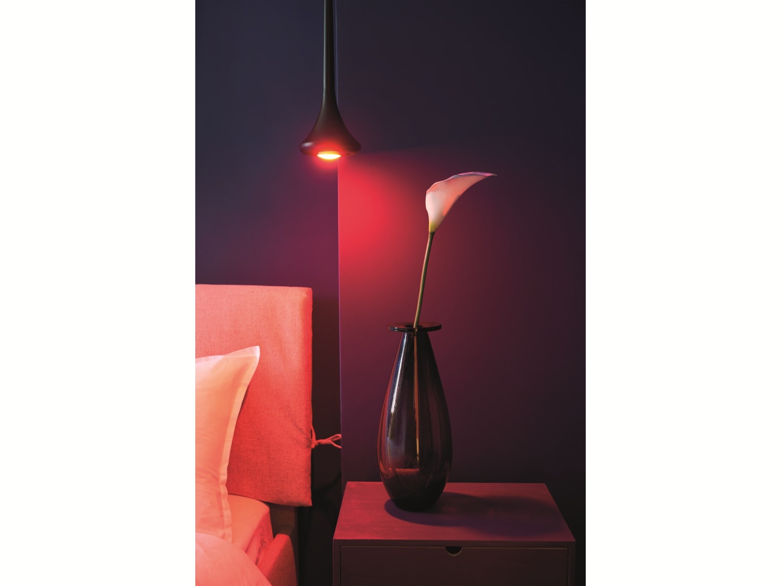SHELLY LED-Lampe Duo RGBW, EEK: G, GU10, WLAN, 5 W, 400 lm SHELLY LED-Lampe Duo RGBW, EEK: G, GU10, WLAN, 5 W, 400 lm