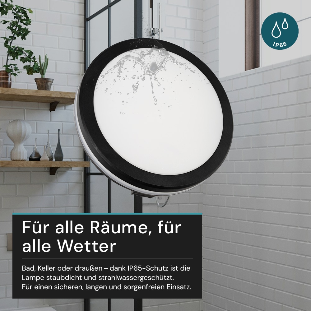 LUXULA LED-Deckenleuchte, 30W, EEK: F, 3000lm, CCT, IP65, schwarz/weiß