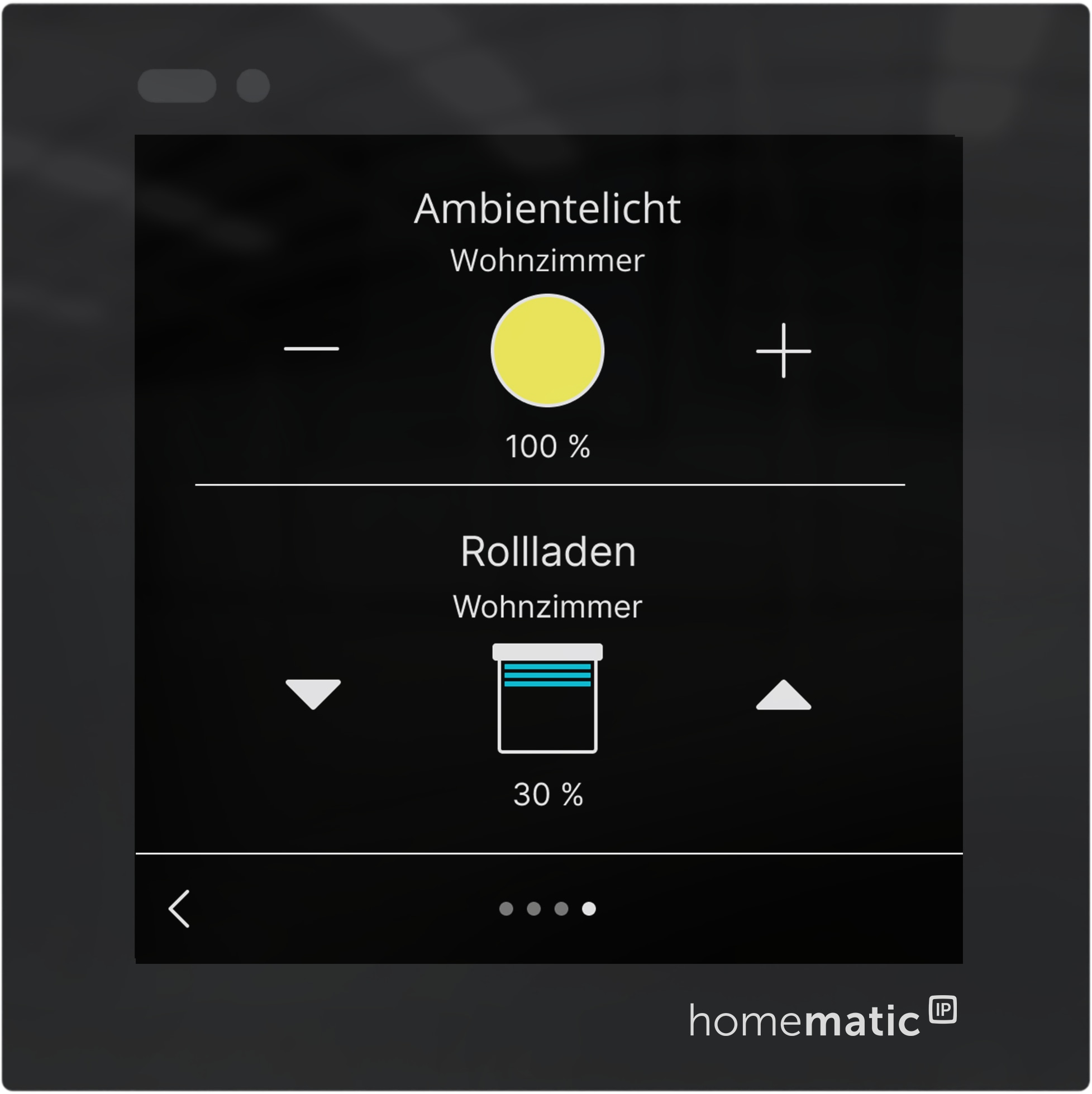 HOMEMATIC IP 161937A0, Glasdisplay plus