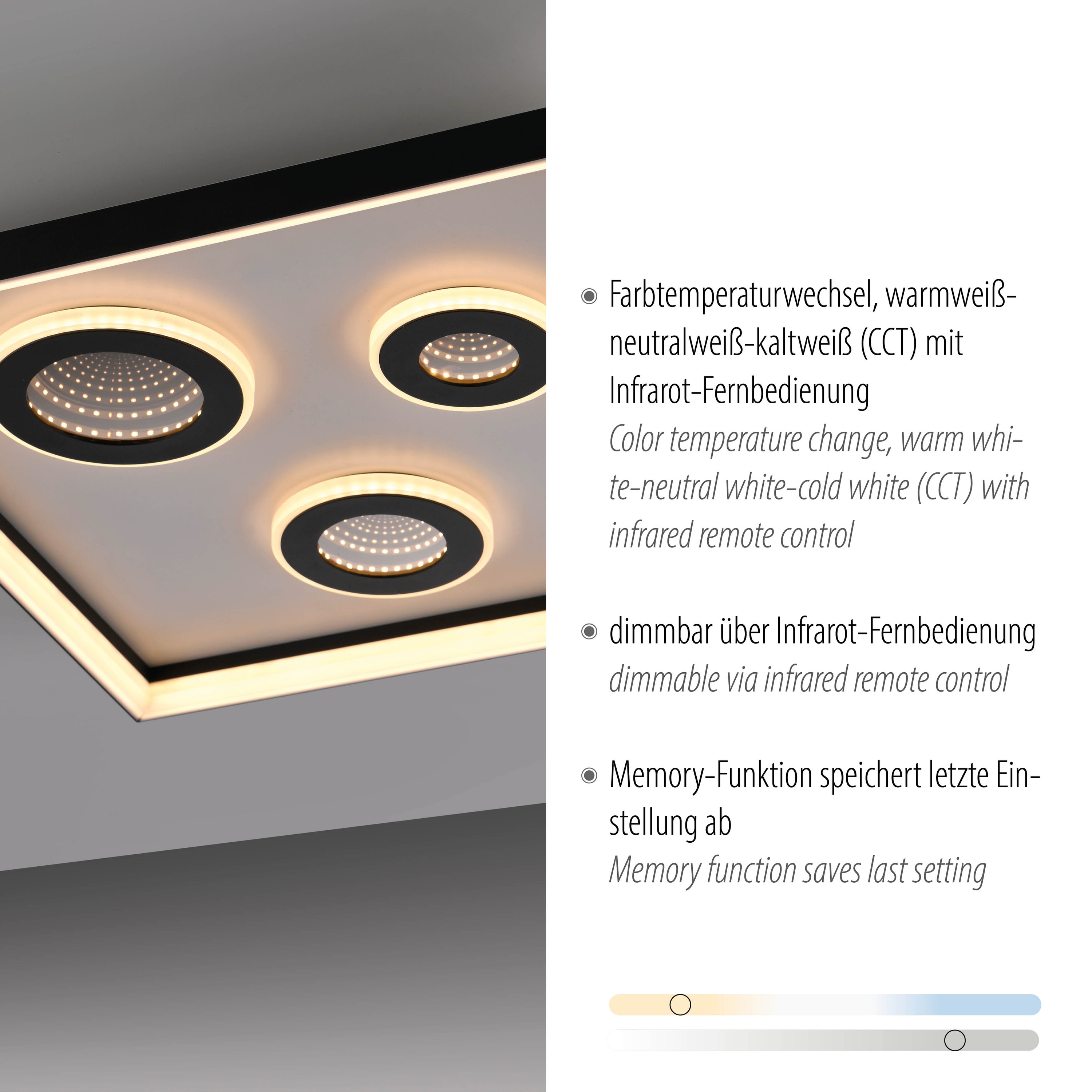 PAUL NEUHAUS LED-Deckenleuchte 6856-18 schwarz, 32 W, 4000 lm, CCT, Fernbedienung