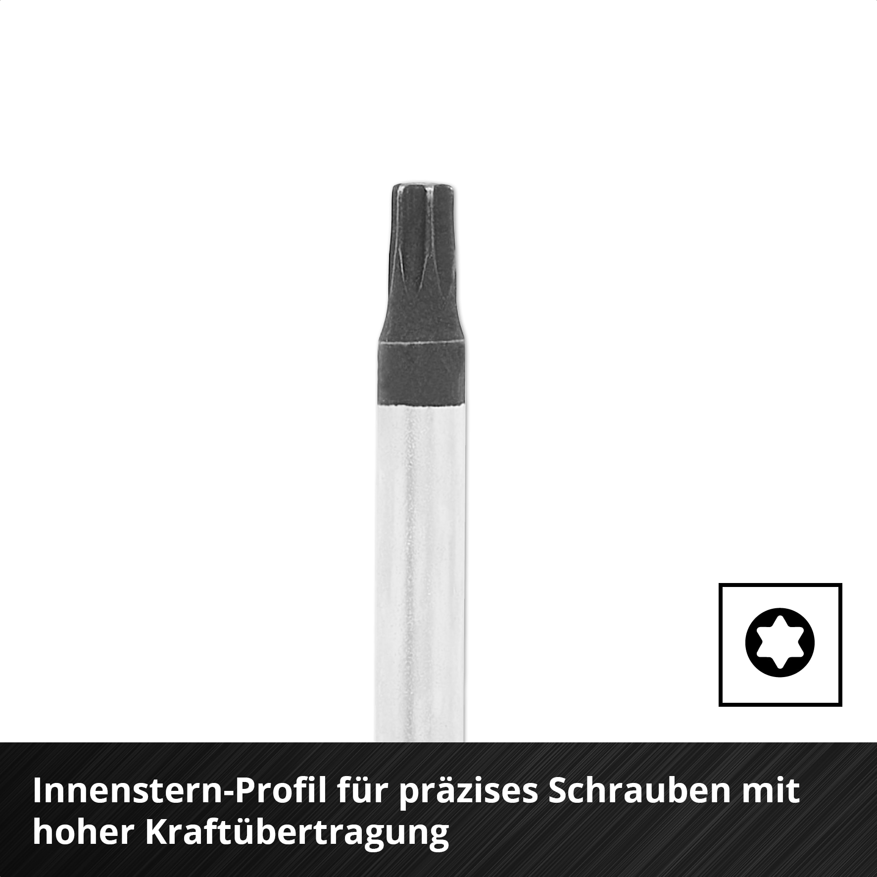 EINHELL E-Case-Einleger Schraubendreher, 370525, 17-teilig