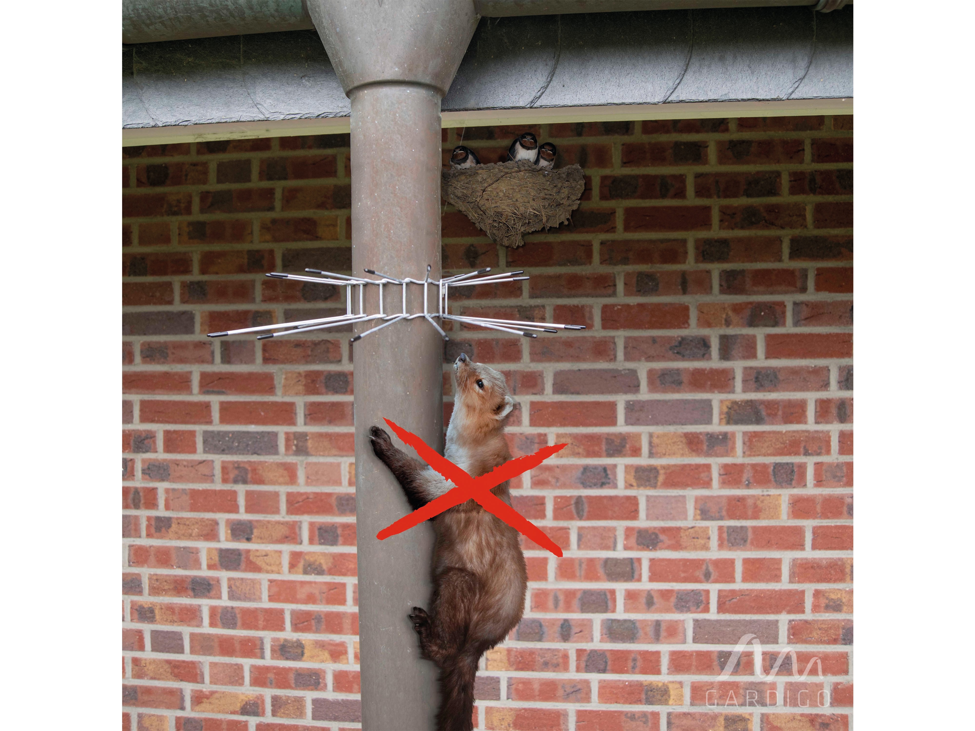 GARDIGO Marder-Abwehr-Gürtel, 2er-Set