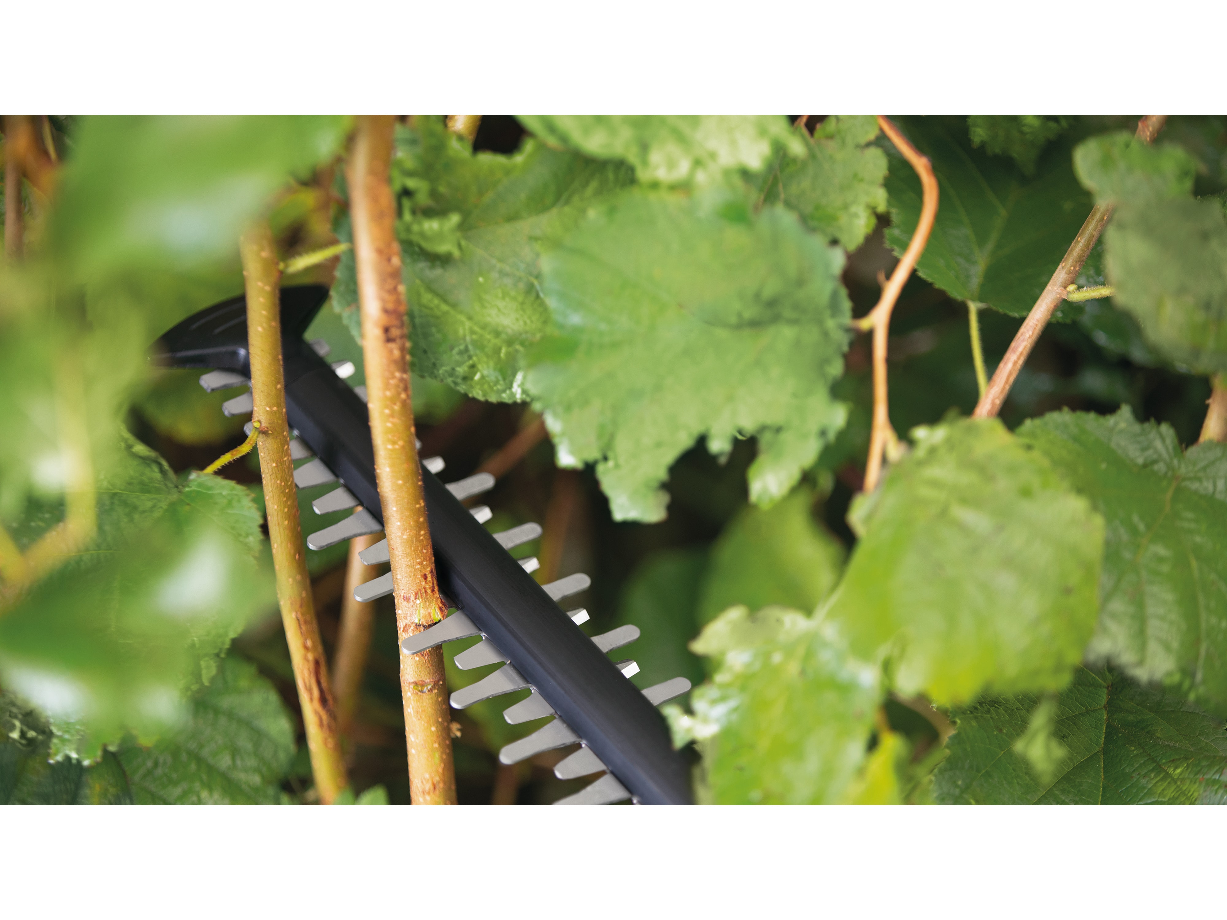 BOSCH Akku-Heckenschere UniversalHedgeCut 18V-55, Akku + Ladegerät