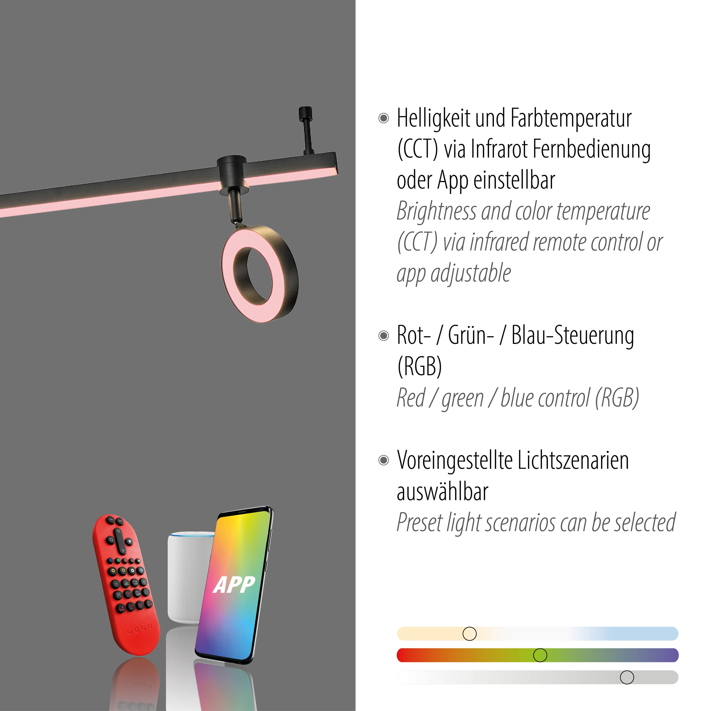 JUST LIGHT LED-Deckenleuchte 12076-18 schwarz, 21,5 W, 2600 lm, CCT, RGB, Smart Home