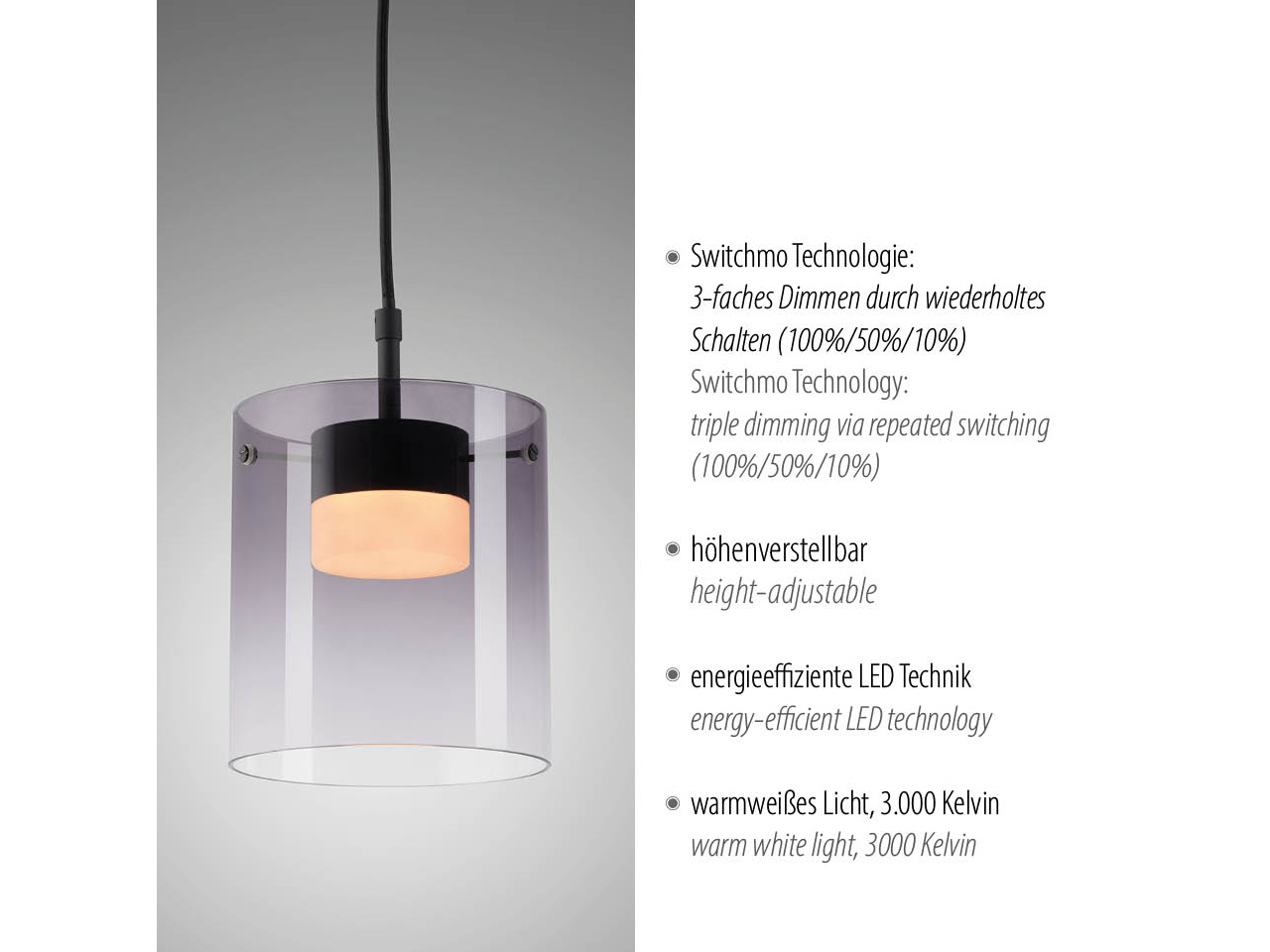 JUST LIGHT LED-Pendelleuchte 14042-18, 7,5W, 800lm, 3000K, schwarz