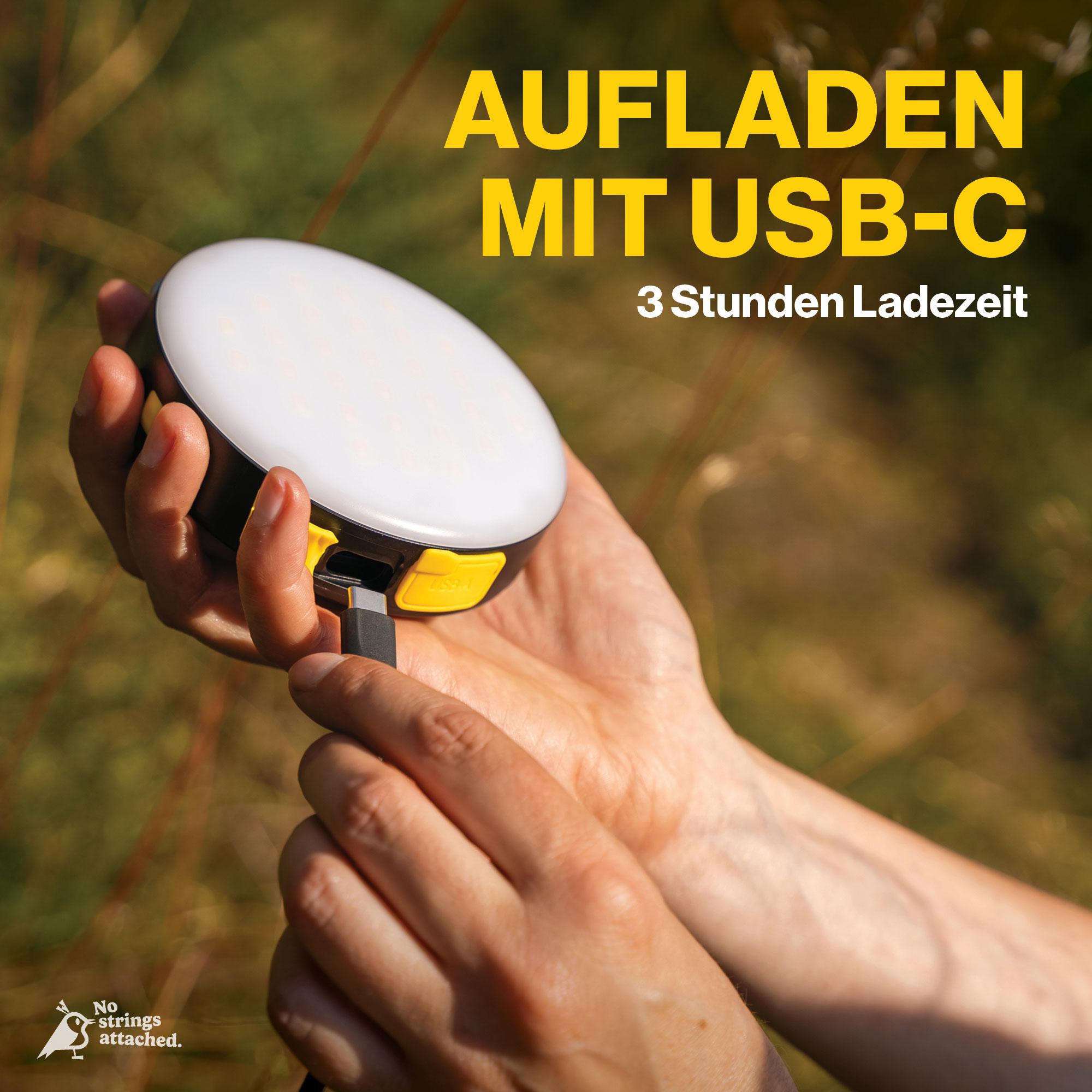 AQIILA BL10, Leuchte, 20 W mit Powerbank, 10.000mAh, schwarz AQIILA Powerbank BL10, mit Leuchte, 20 W, 10.000mAh, schwarz