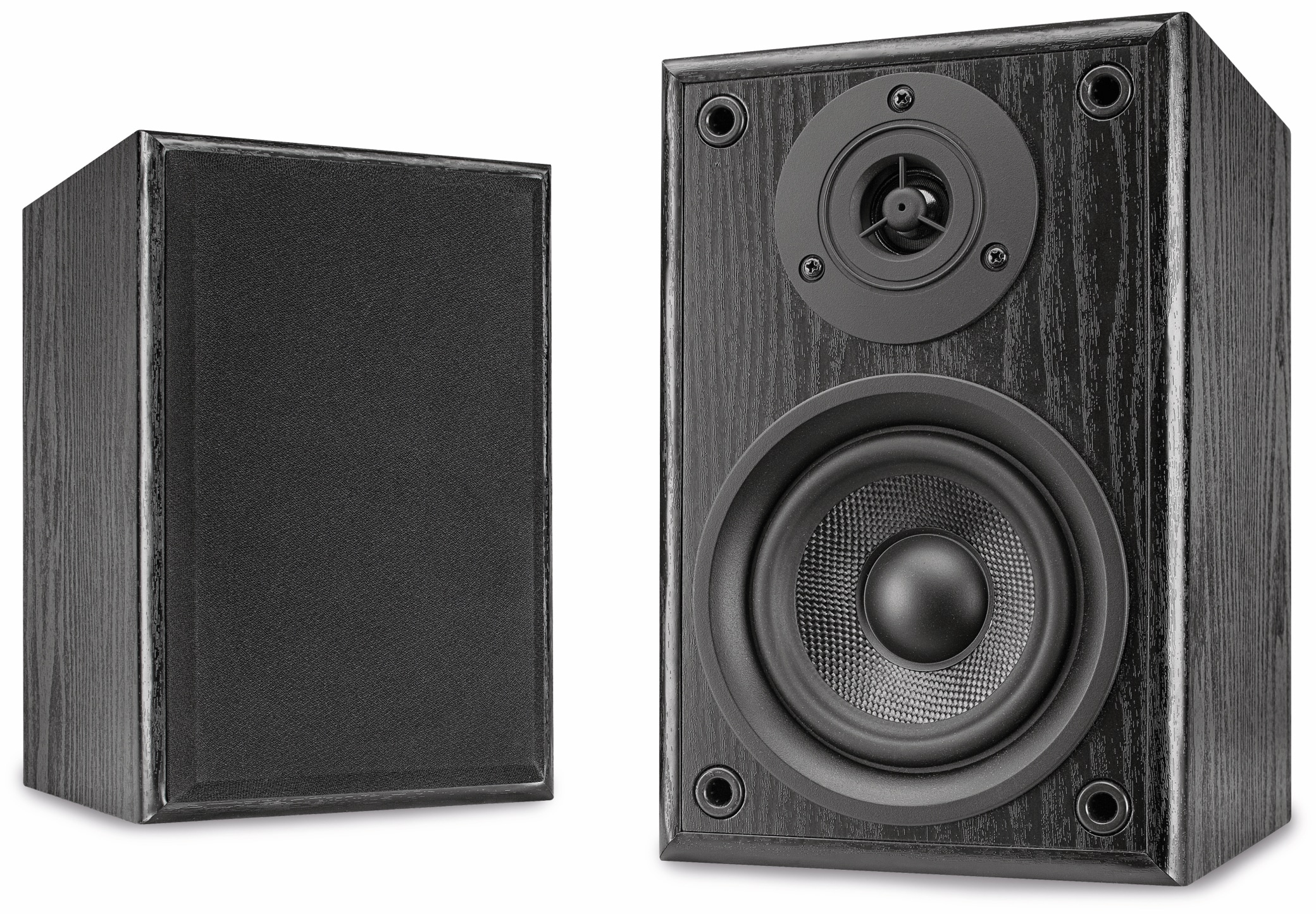 Dual Aktiv-Lautsprecher LS 100