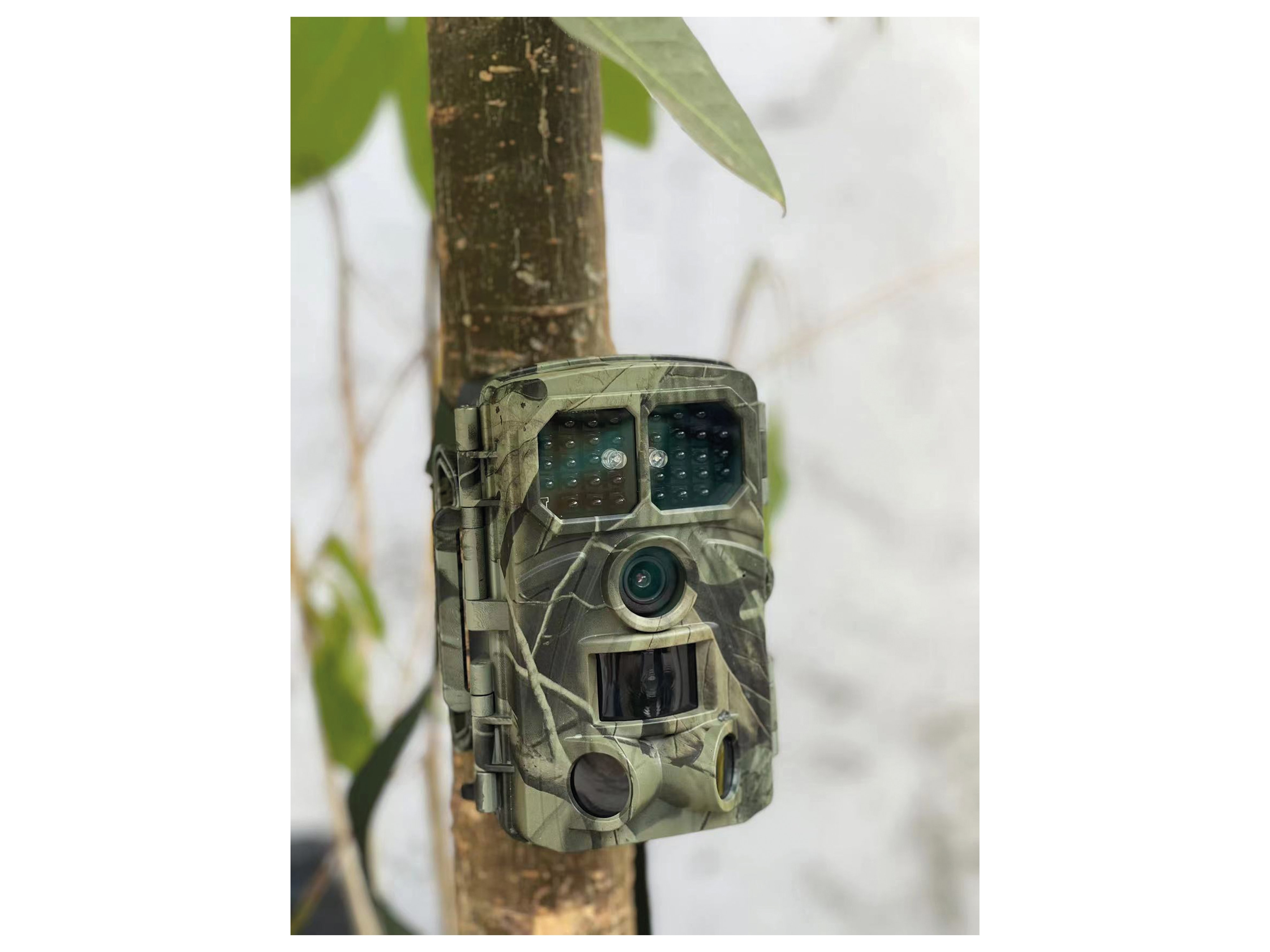 DENVER Wildkamera WCT-8026W, WLAN, Bluetooth, 8 MP, 4K, IP65 DENVER Wildkamera WCT-8026W, WLAN, Bluetooth, 8 MP, 4K, IP65
