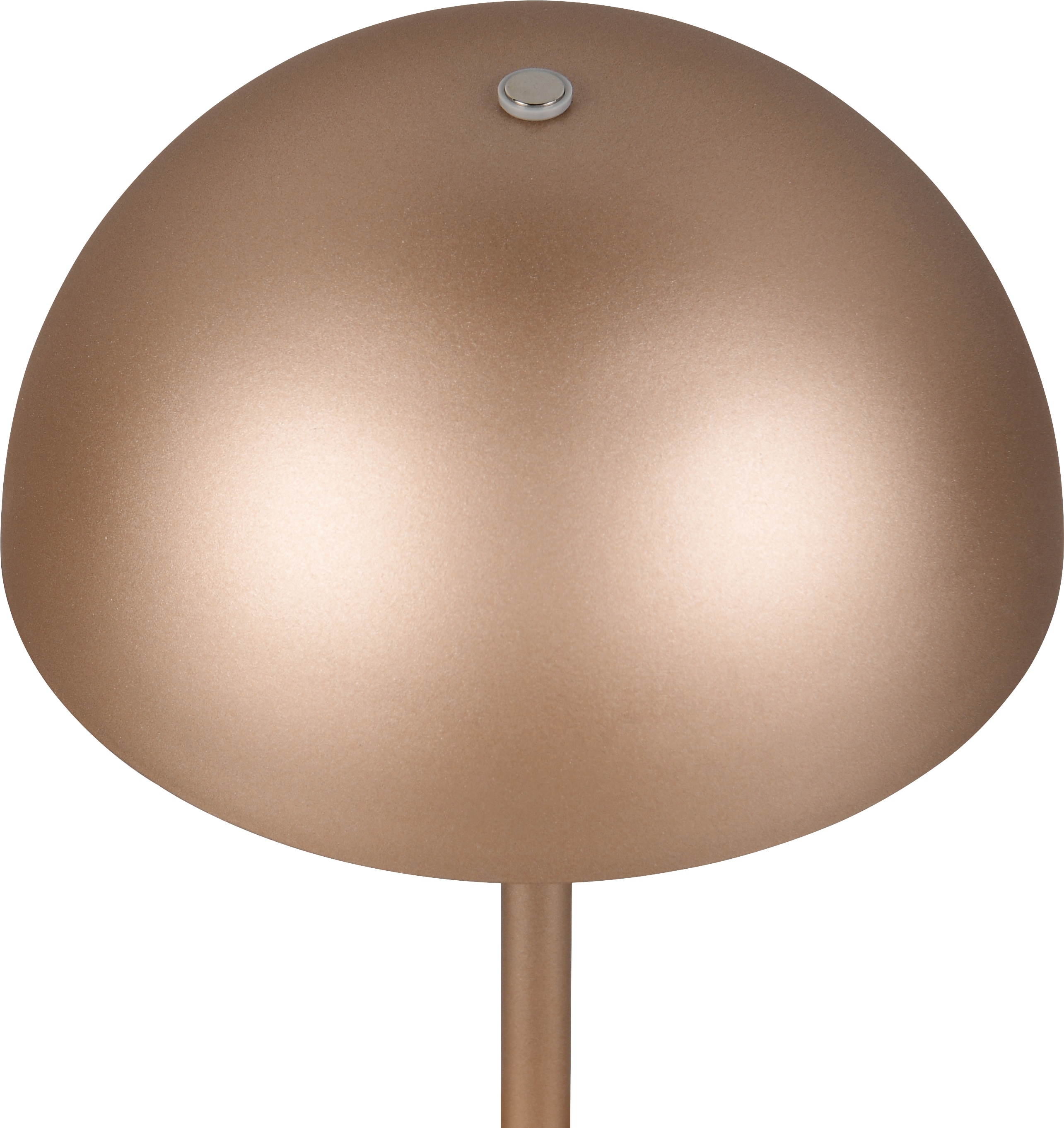 REALITY LED-Akku-Tischleuchte MUNOZ, R54891165, 1,3W, 120lm, 3000K, coffee
