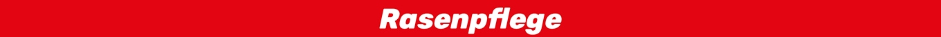 Rasenpflege