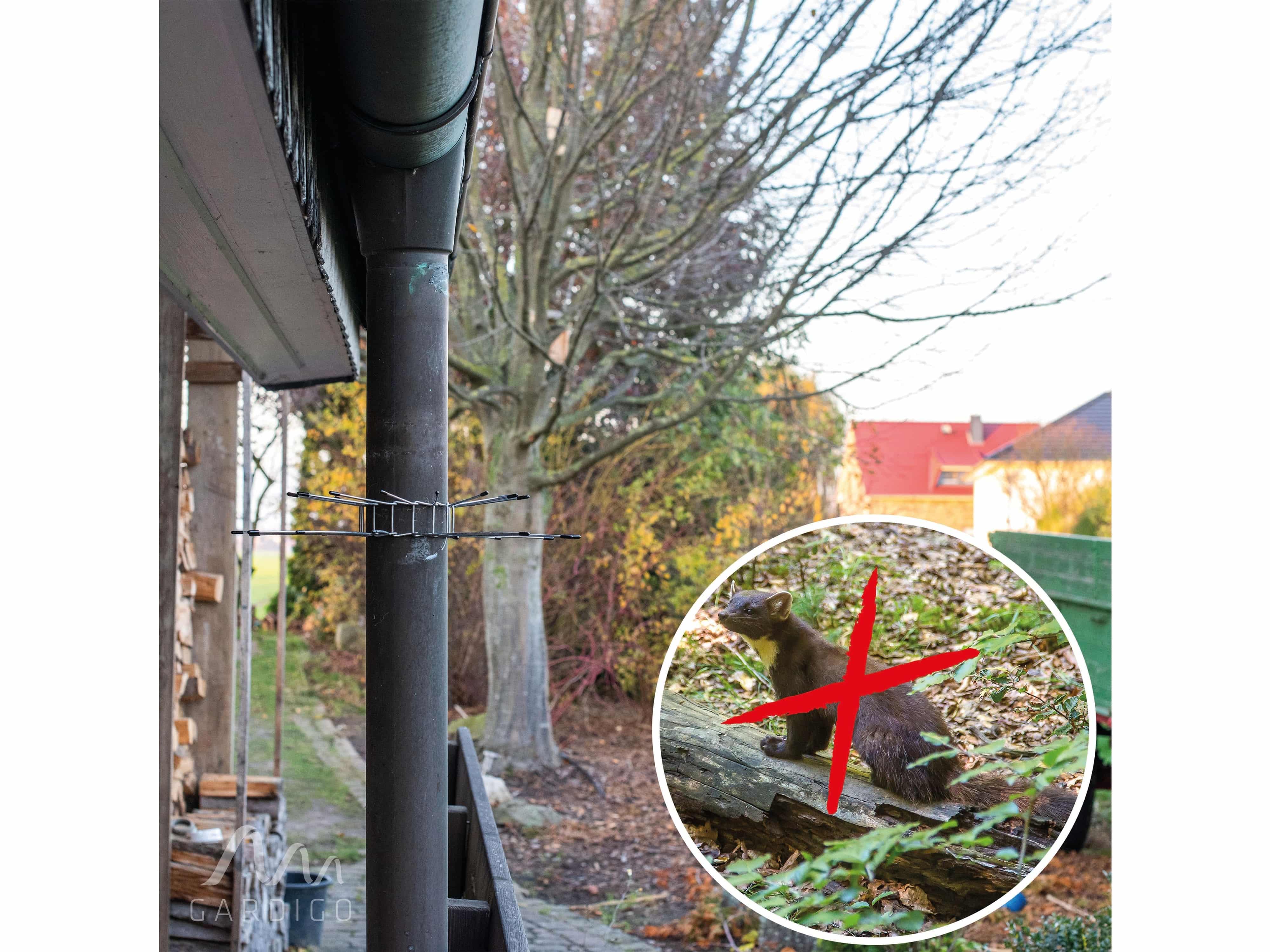 GARDIGO Marder-Abwehr-Gürtel, 2er-Set