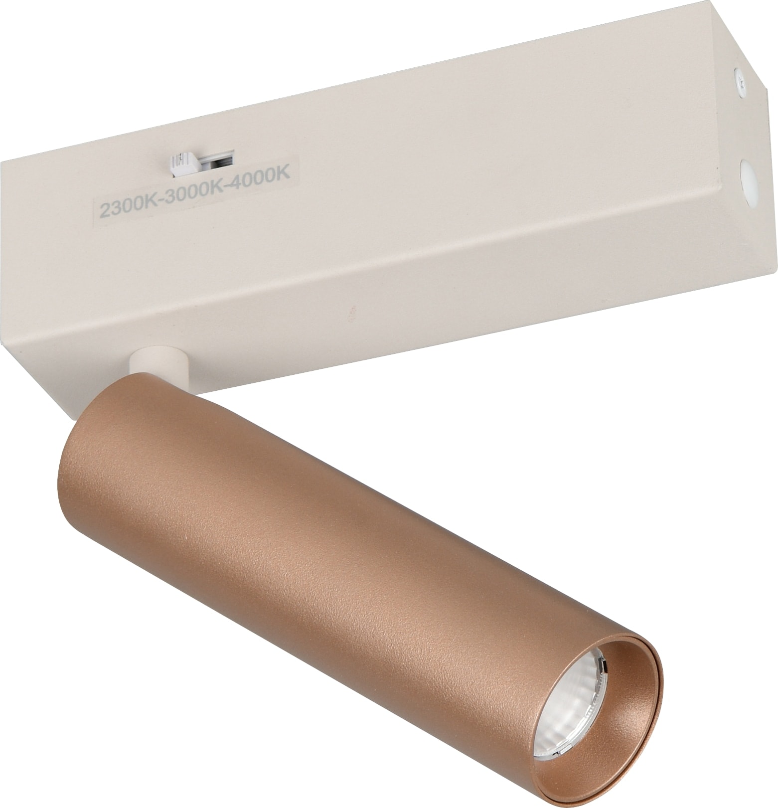 TRIO LED-Spotleuchte AMBALA, 849210165, 5 W, 500 lm, coffee