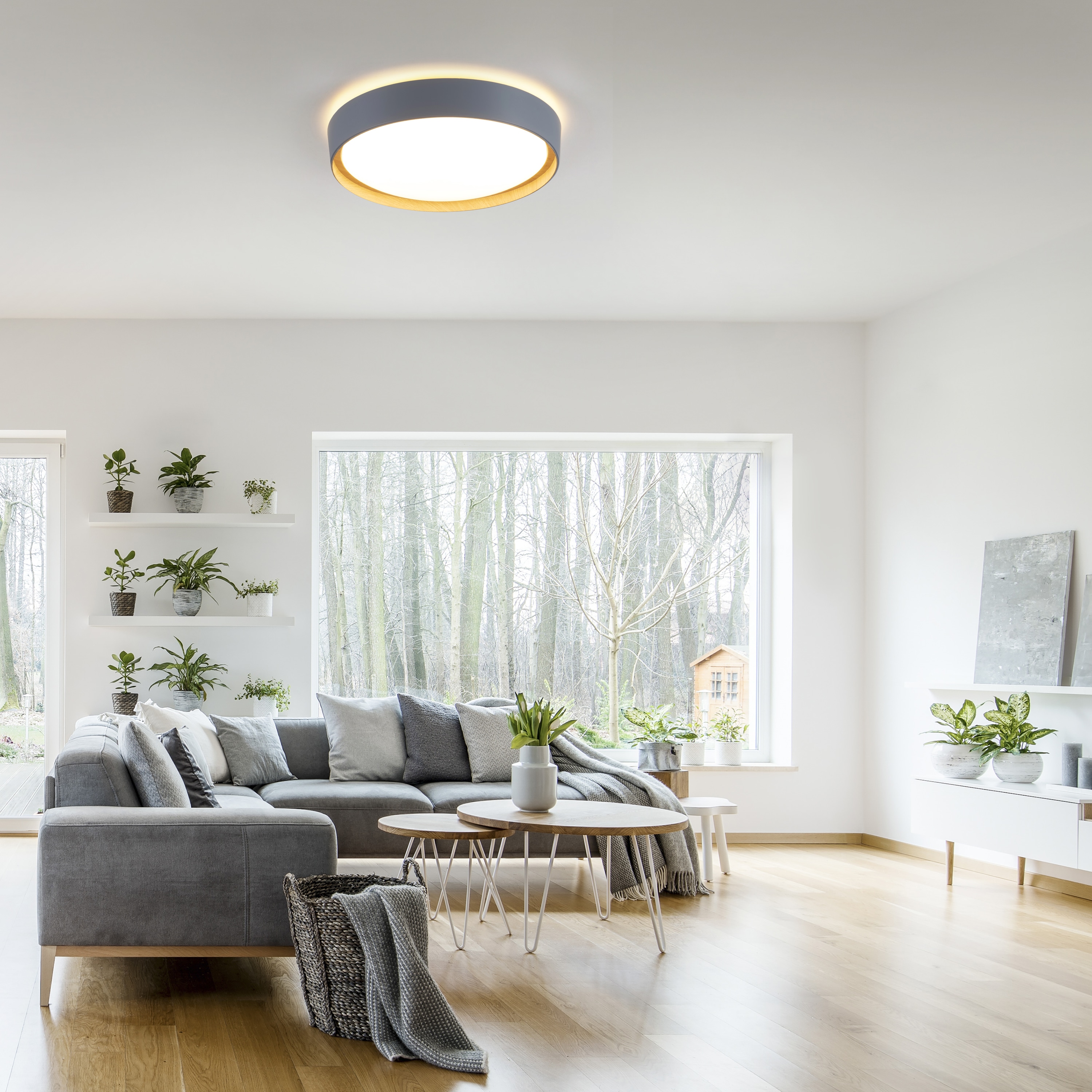 JUST LIGHT LED-Deckenleuchte 14347-15 grau, 29 W, 3400 lm, 3000 K JUST LIGHT LED-Deckenleuchte 14347-15 grau, 29 W, 3400 lm, 3000 K