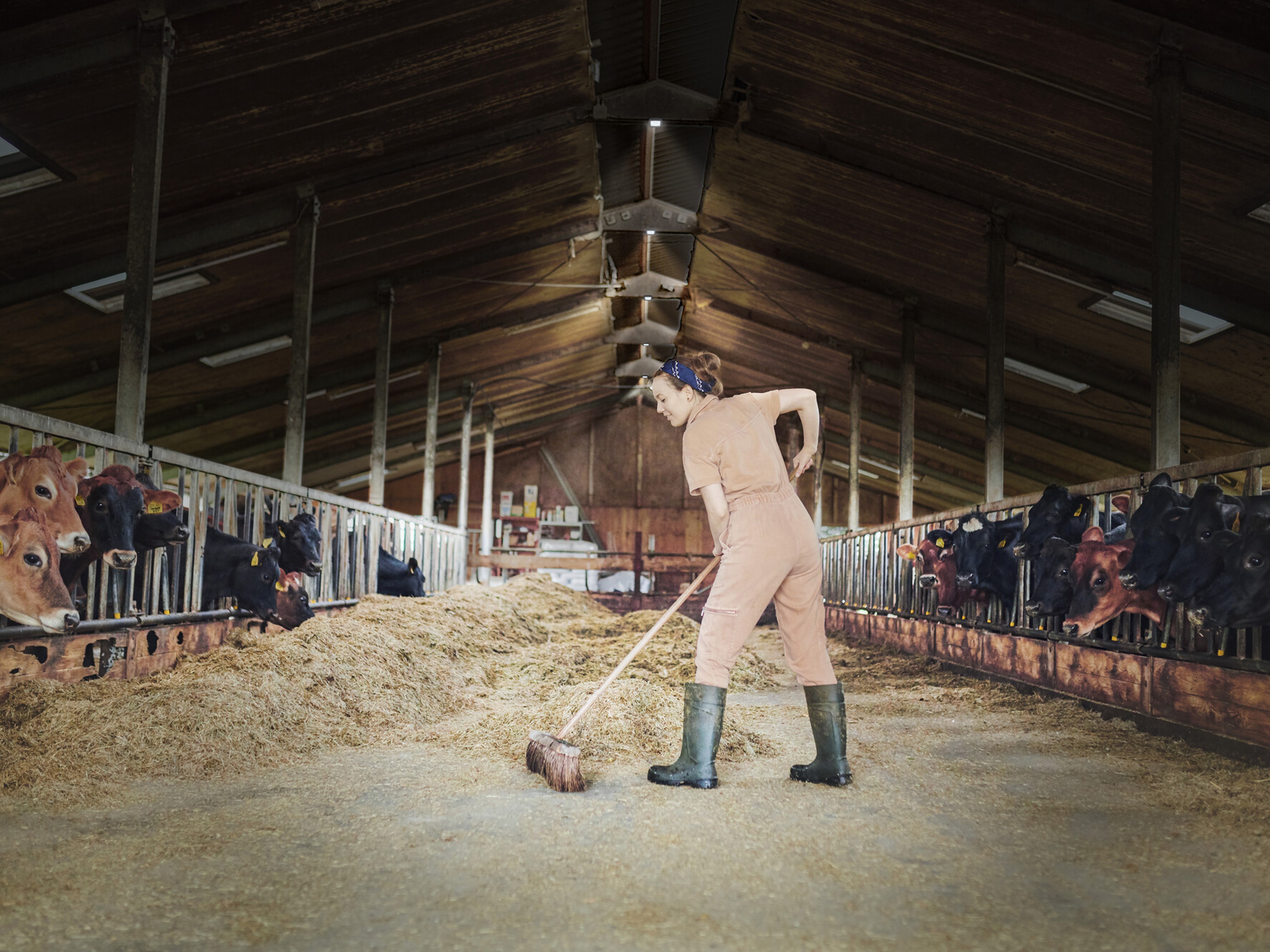 OSRAM LED-Hallenleuchte, 150W, 6500K, 15000lm, IP65, kaltweiß, schwarz