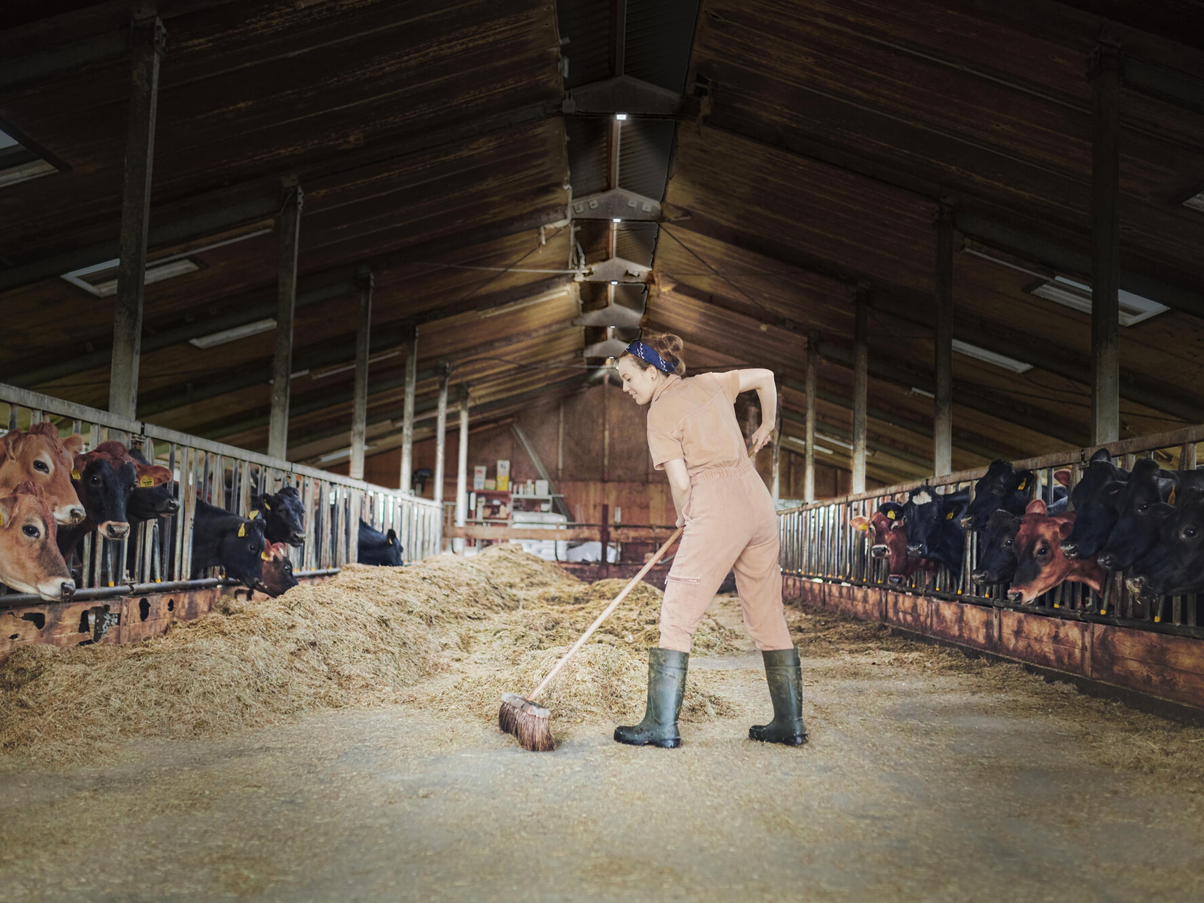 OSRAM LED-Hallenleuchte, 150W, 6500K, 15000lm, IP65, kaltweiß, schwarz