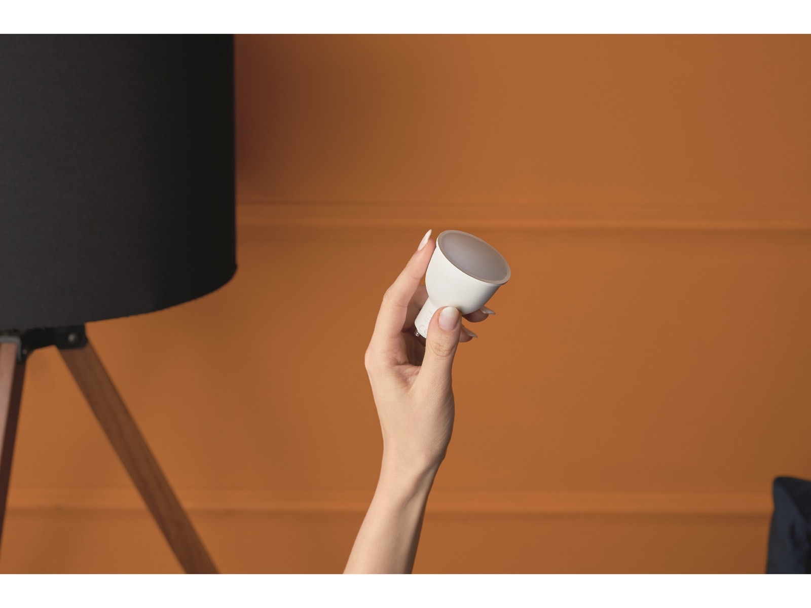 SHELLY LED-Lampe Duo RGBW, EEK: G, GU10, WLAN, 5 W, 400 lm SHELLY LED-Lampe Duo RGBW, EEK: G, GU10, WLAN, 5 W, 400 lm