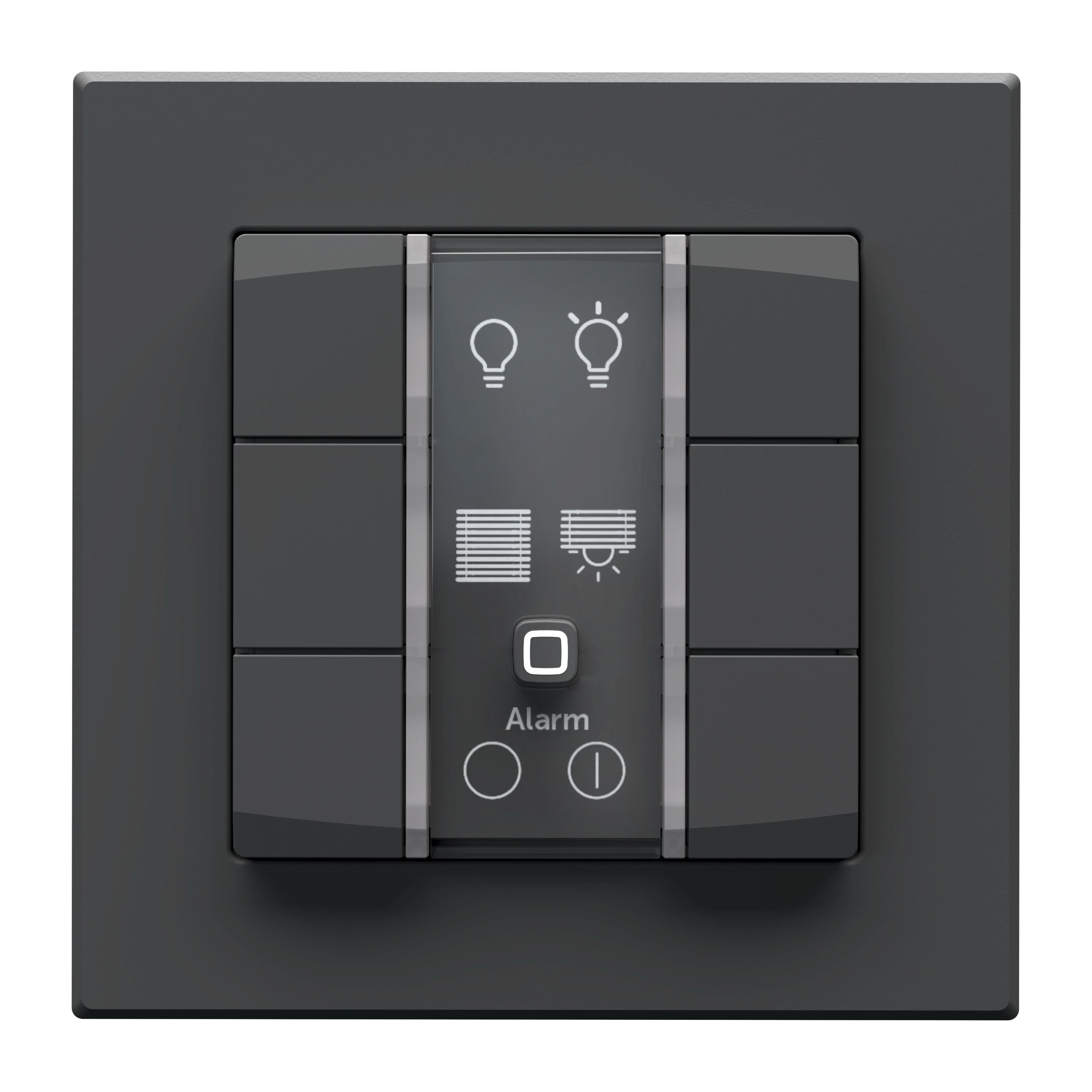 HOMEMATIC IP 162028A0, Wandtaster, 6-fach, 230 V, anthrazit