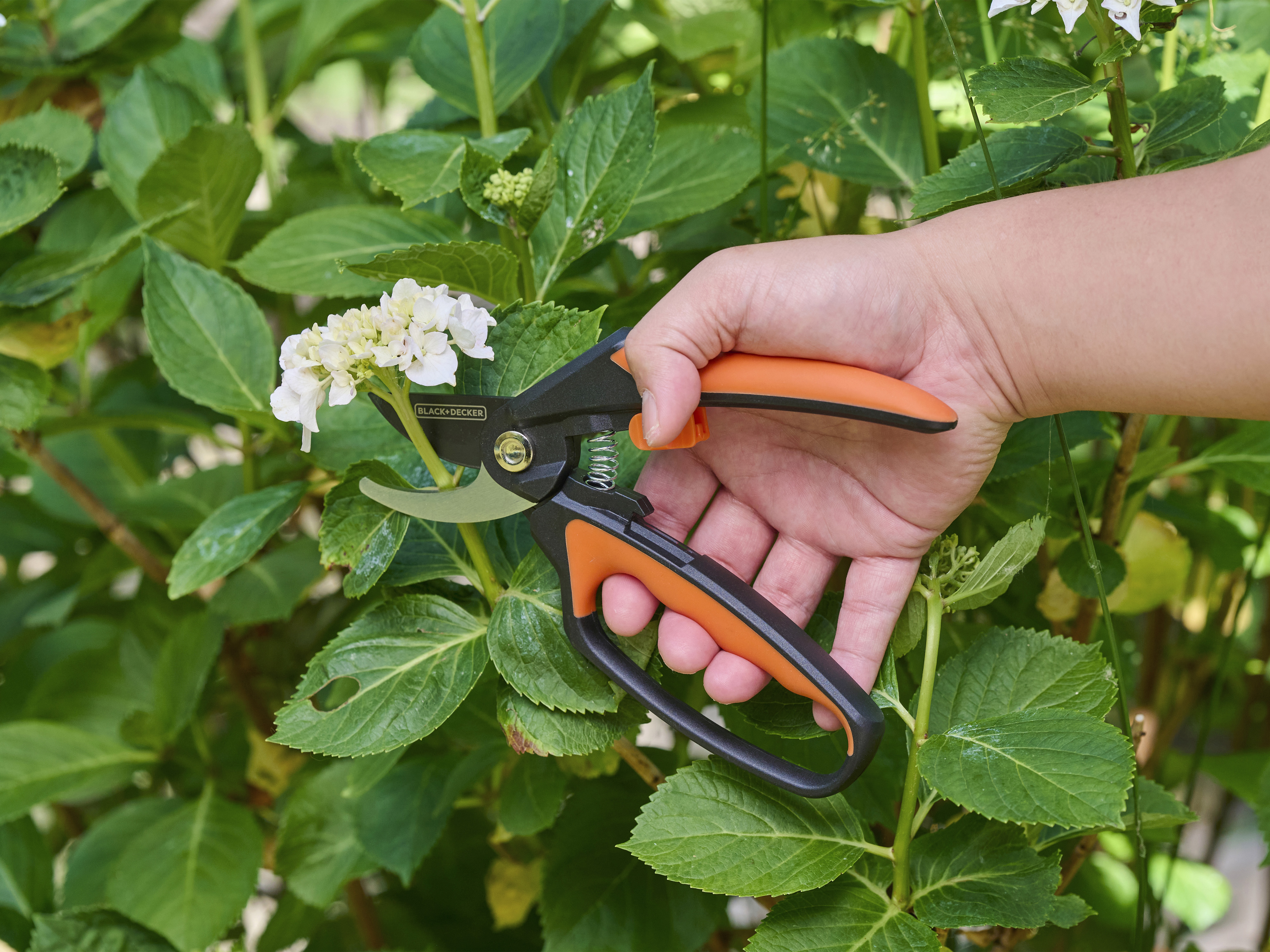 BLACK & DECKER Bypass Gartenschere