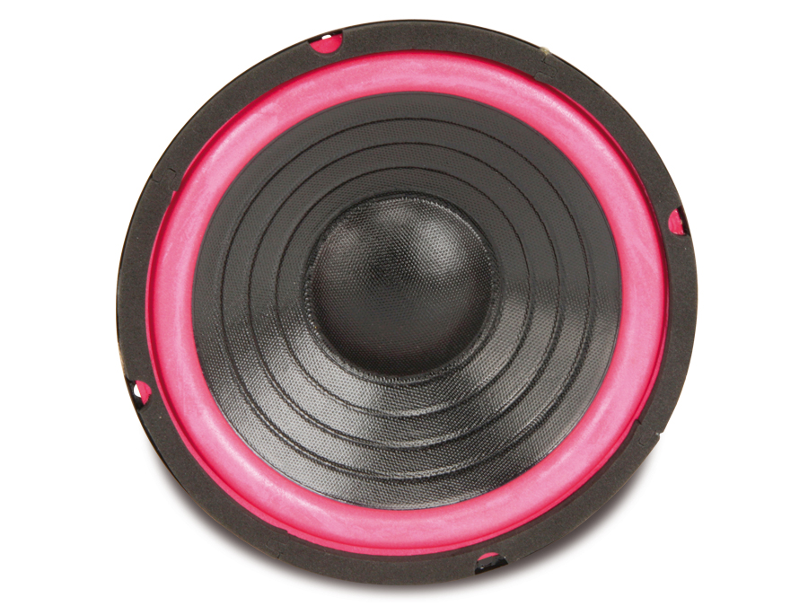 Tieftöner DYH810, 200 mm, 4 Ω, 80 W