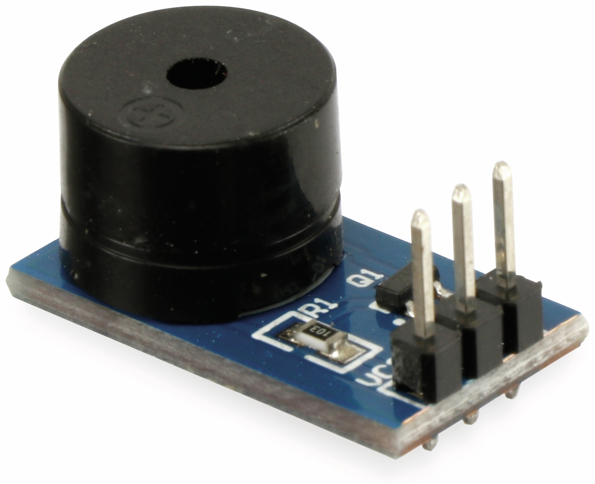 DAYPOWER Summer Modul passiv Voice-Buzzer-P DAYPOWER Summer Modul passiv Voice-Buzzer-P