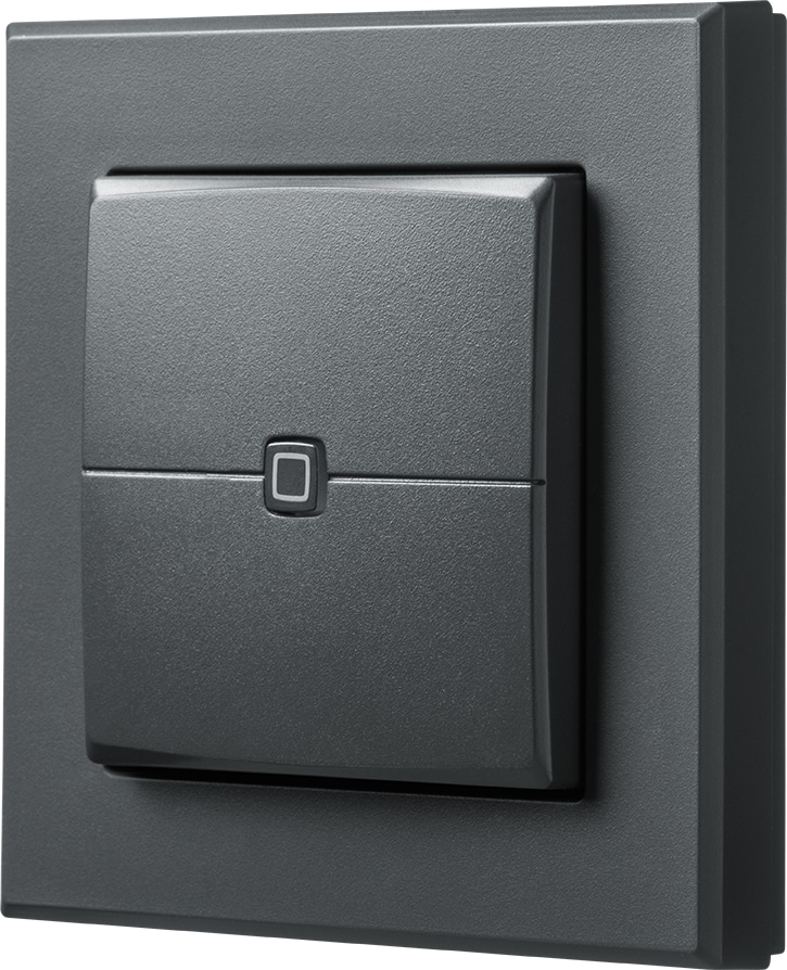 HOMEMATIC IP 159881A0, Wandtaster 2-fach, anthrazit