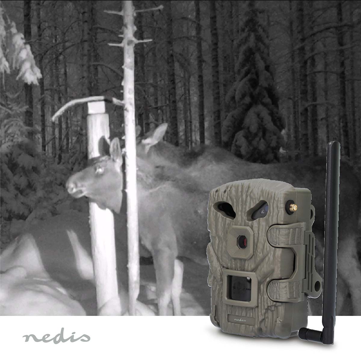 NEDIS Wildkamera WCAM460GN, 1080p@30fps, 30,0 MP, 4G, IP66, Black No-Glow IR, Nachtsicht, Bewegungssensor