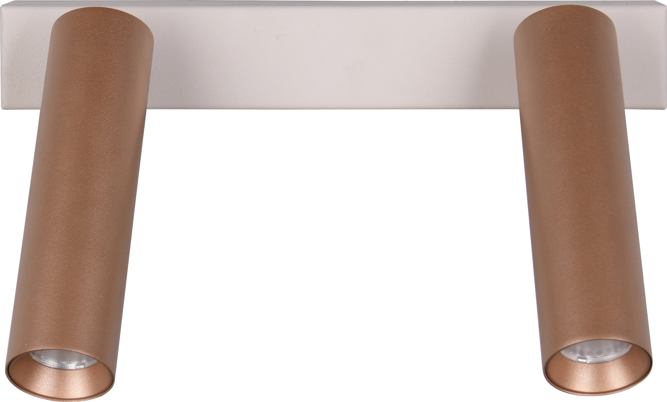 TRIO LED-Spotleuchte AMBALA, 849210265, 2-fach, 2x 5,5 W, 2x 500 ml, coffee