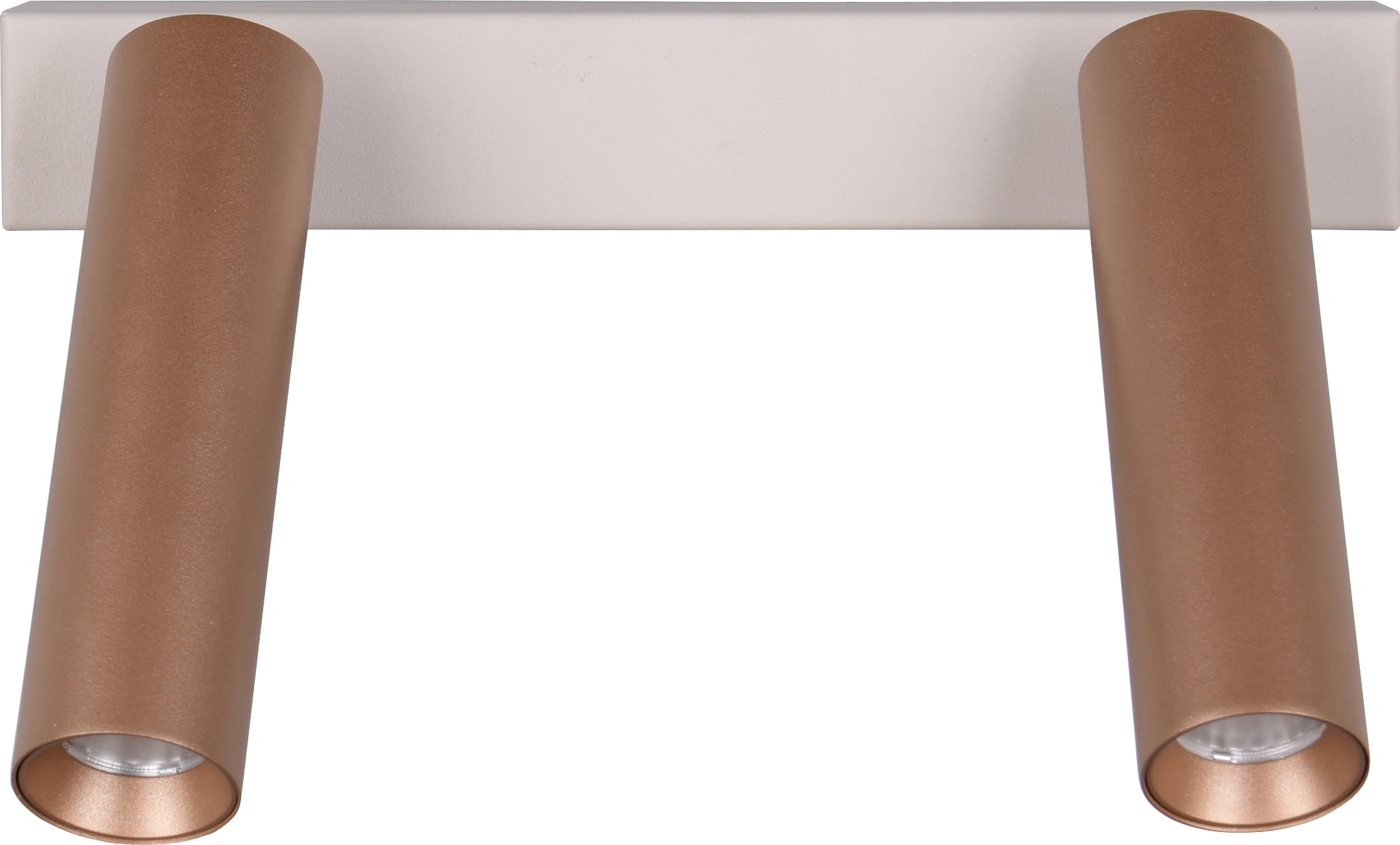 TRIO LED-Spotleuchte AMBALA, 849210265, 2-fach, 2x 5,5 W, 2x 500 ml, coffee