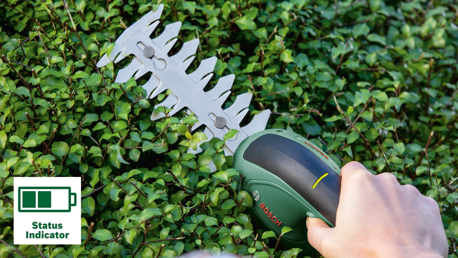 BOSCH Akku-Gras und Strauchschere, EasyShear, 0600833303