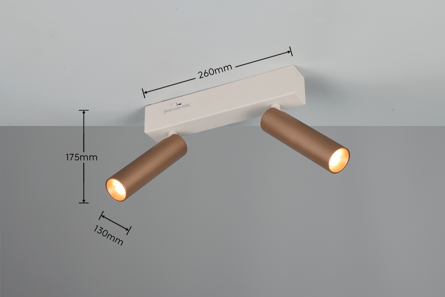 TRIO LED-Spotleuchte AMBALA, 849210265, 2-fach, 2x 5,5 W, 2x 500 ml, coffee