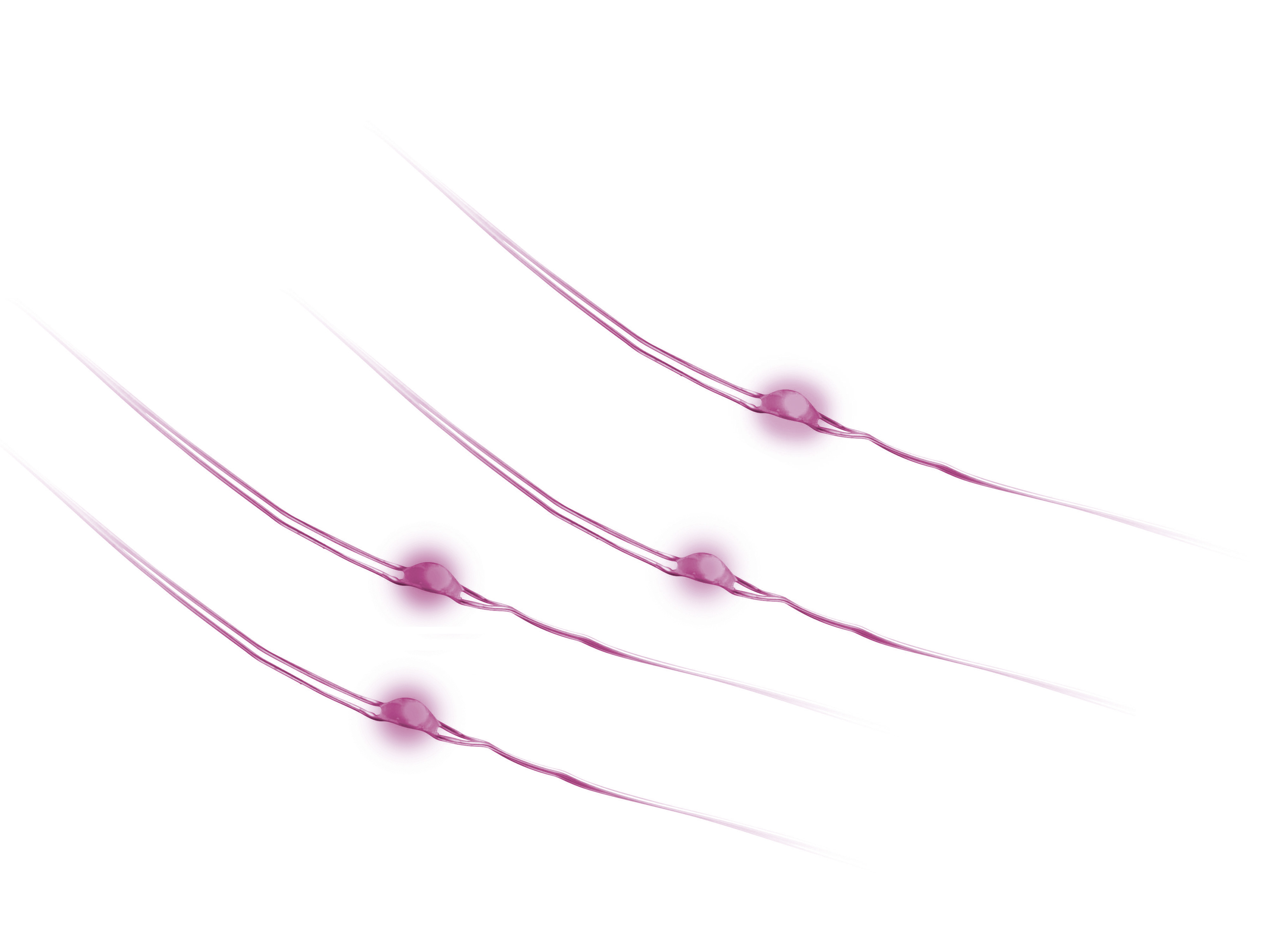 LED-Lichterkette, Silberdraht, 18 LEDs, pink