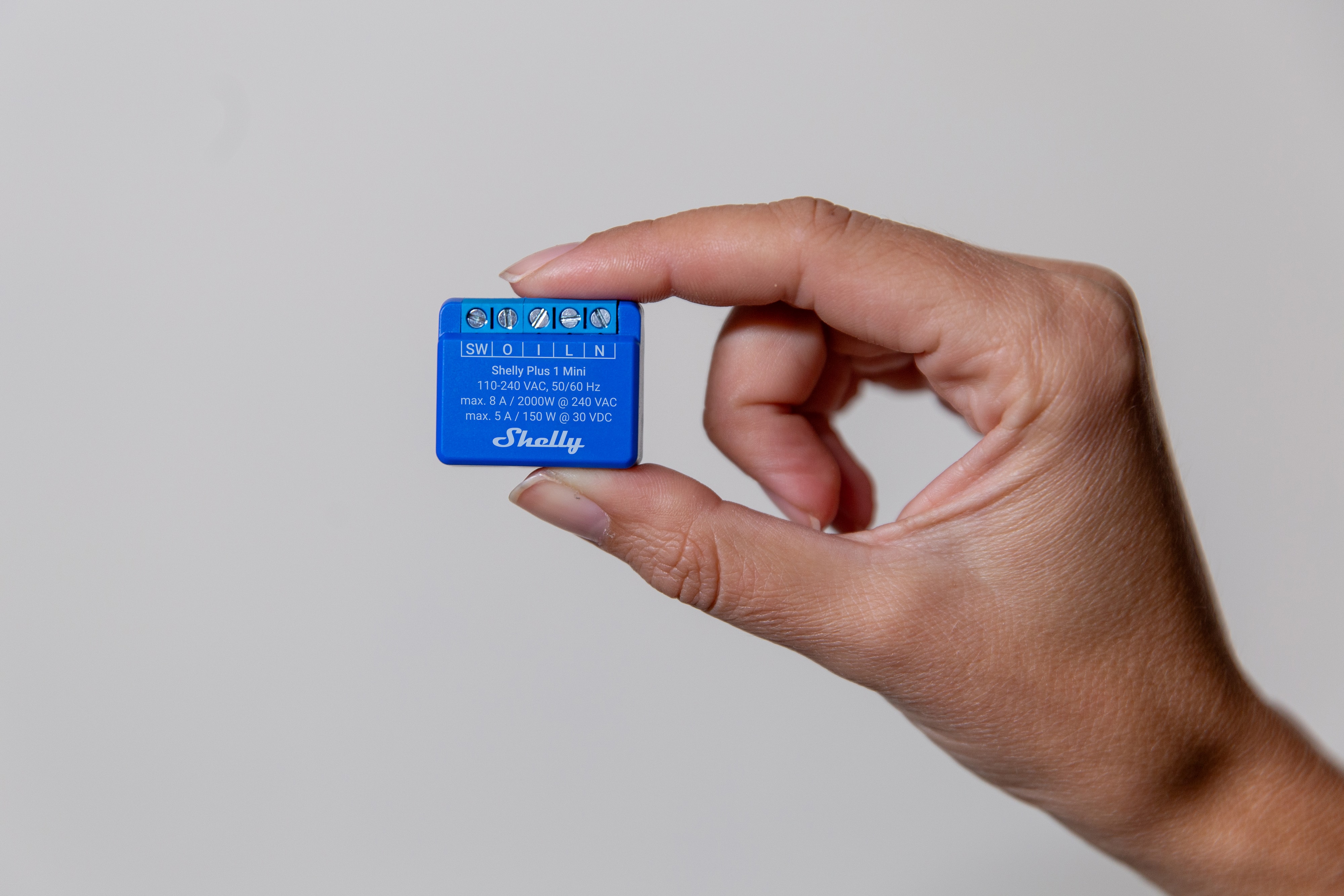 SHELLY WLAN-Schaltaktor Plus 1 Mini, max. 8 A, 1 Kanal, Bluetooth, UP