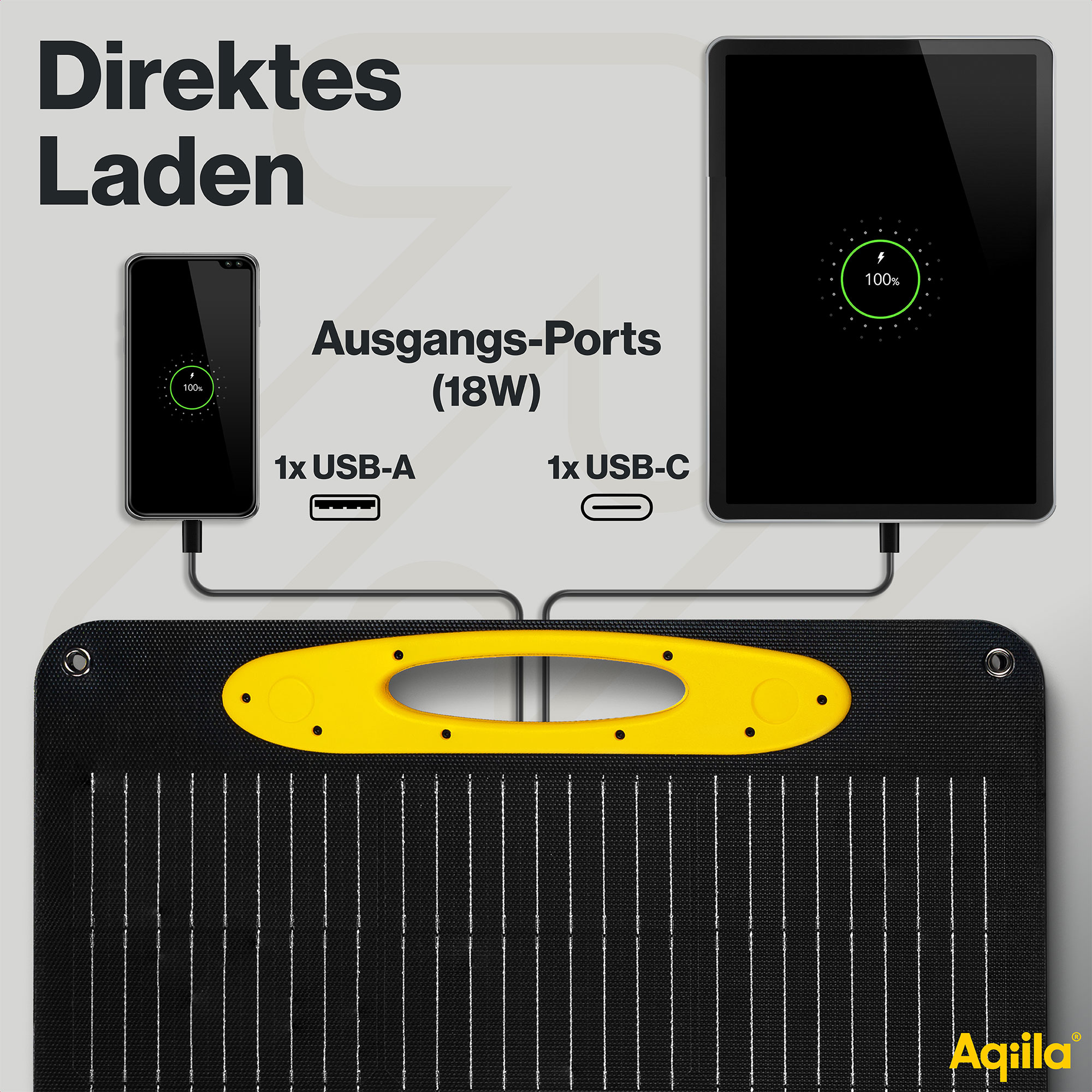 AQIILA Solarpanel Sunbird P100, 100 W, schwarz