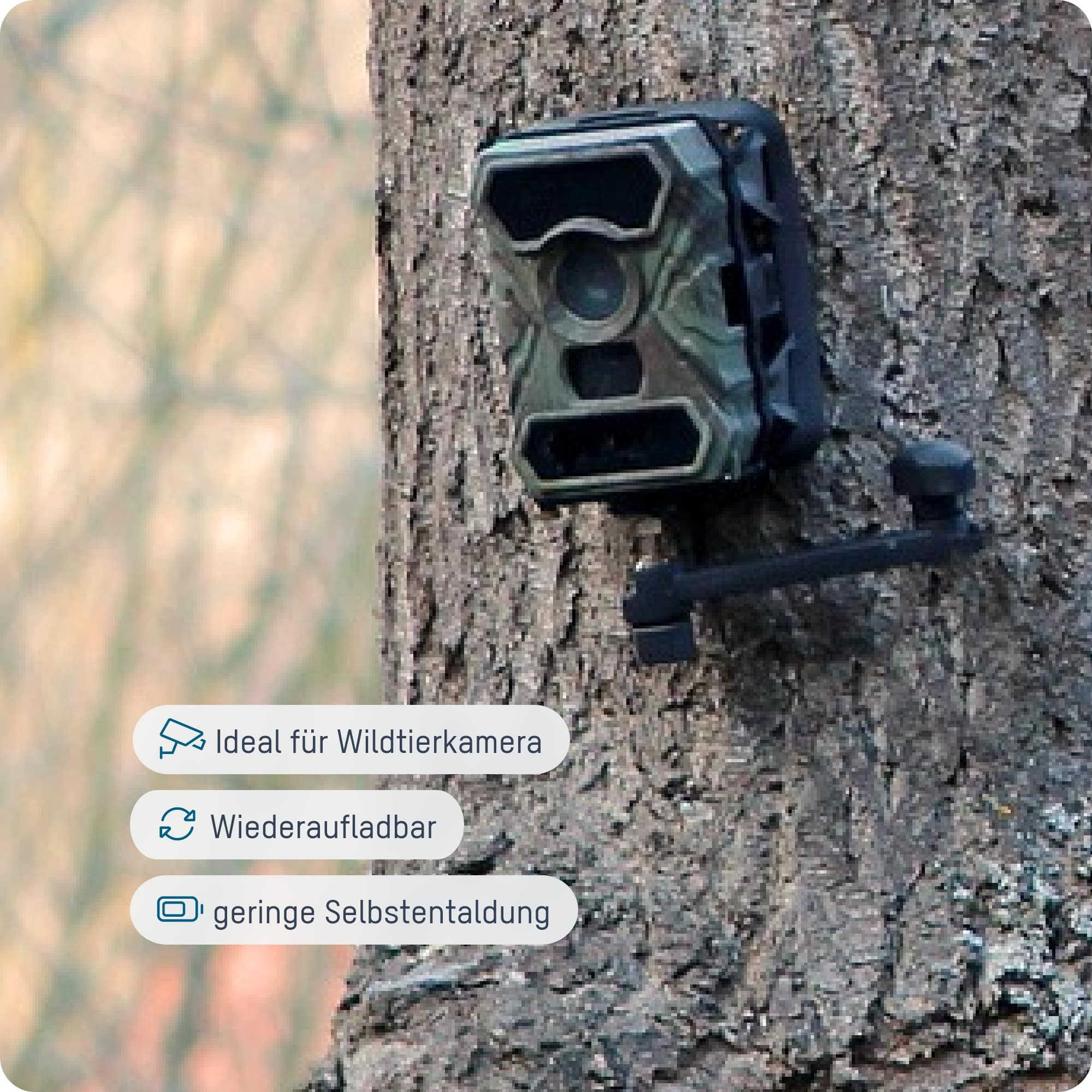 ANSMANN Akku Mignon AA Typ 2100, für Wildkamera, 4 Stück ANSMANN Akku Mignon AA Typ 2100, für Wildkamera, 4 Stück