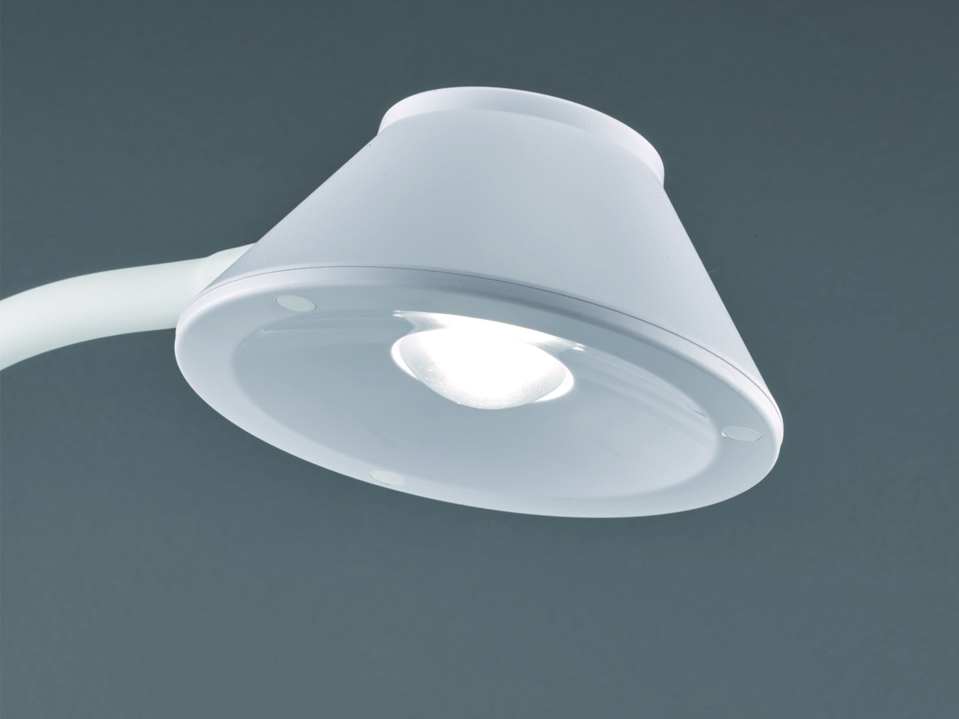 REALITY LED-Tischleuchte Berry R52191101 weiß, 3,2 W, 350 lm, 3000 K REALITY LED-Tischleuchte Berry R52191101 weiß, 3,2 W, 350 lm, 3000 K