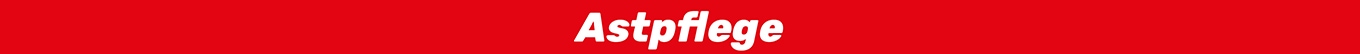Astpflege Astpflege