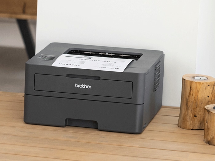 BROTHER Drucker HL-L2400DW