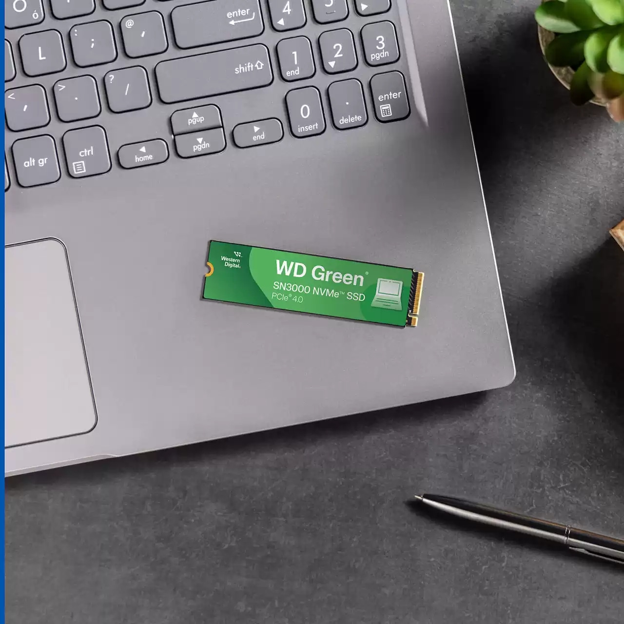 WD M.2 SSD Green SN3000 500GB