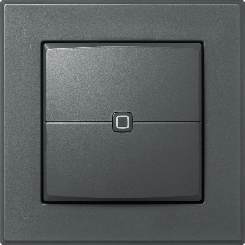HOMEMATIC IP 159881A0, Wandtaster 2-fach, anthrazit