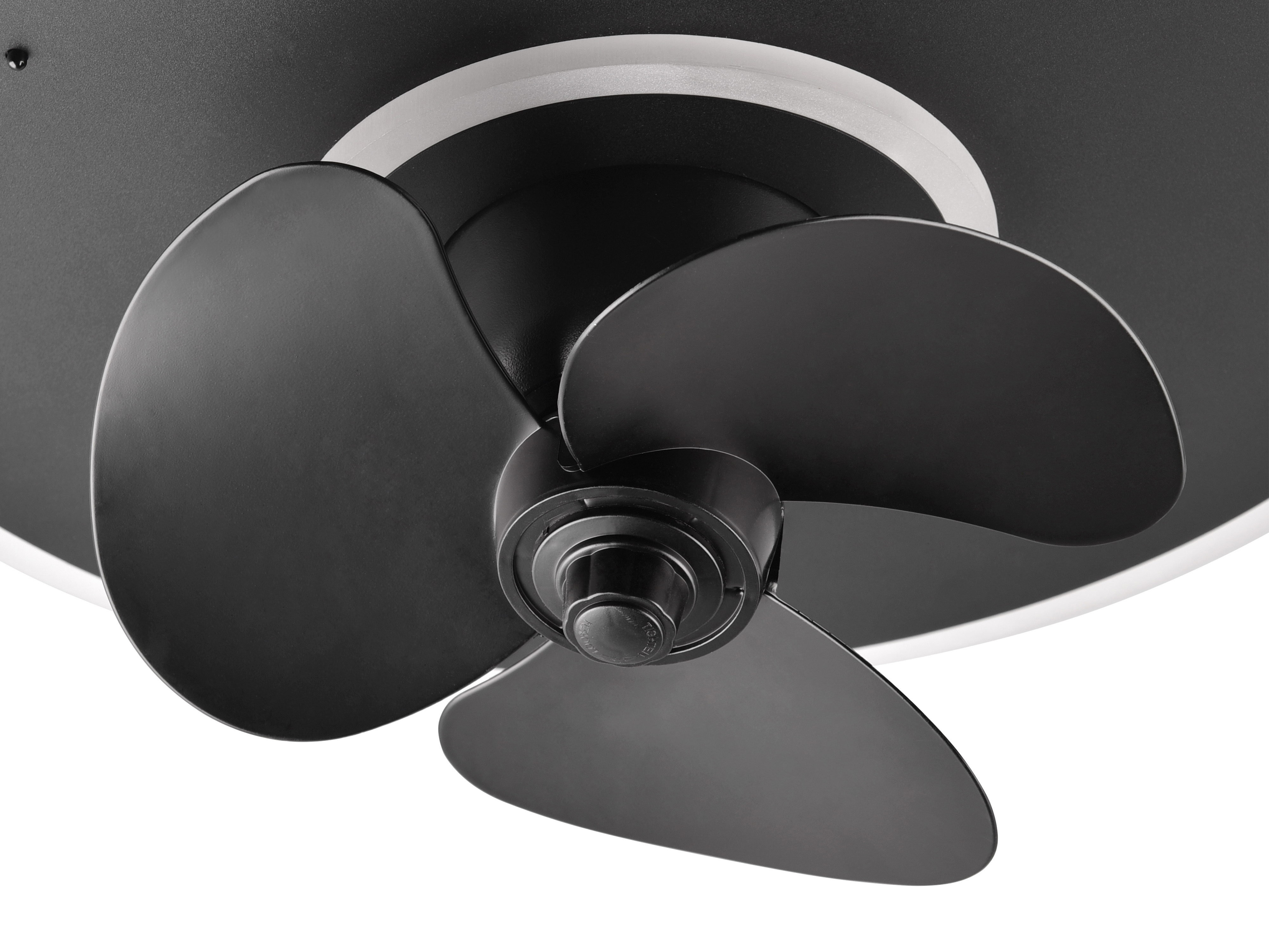 REALITY LED-Deckenleuchte NYBRO, mit Ventilator, 20 W, 30 W-LED, 2700-6500 K