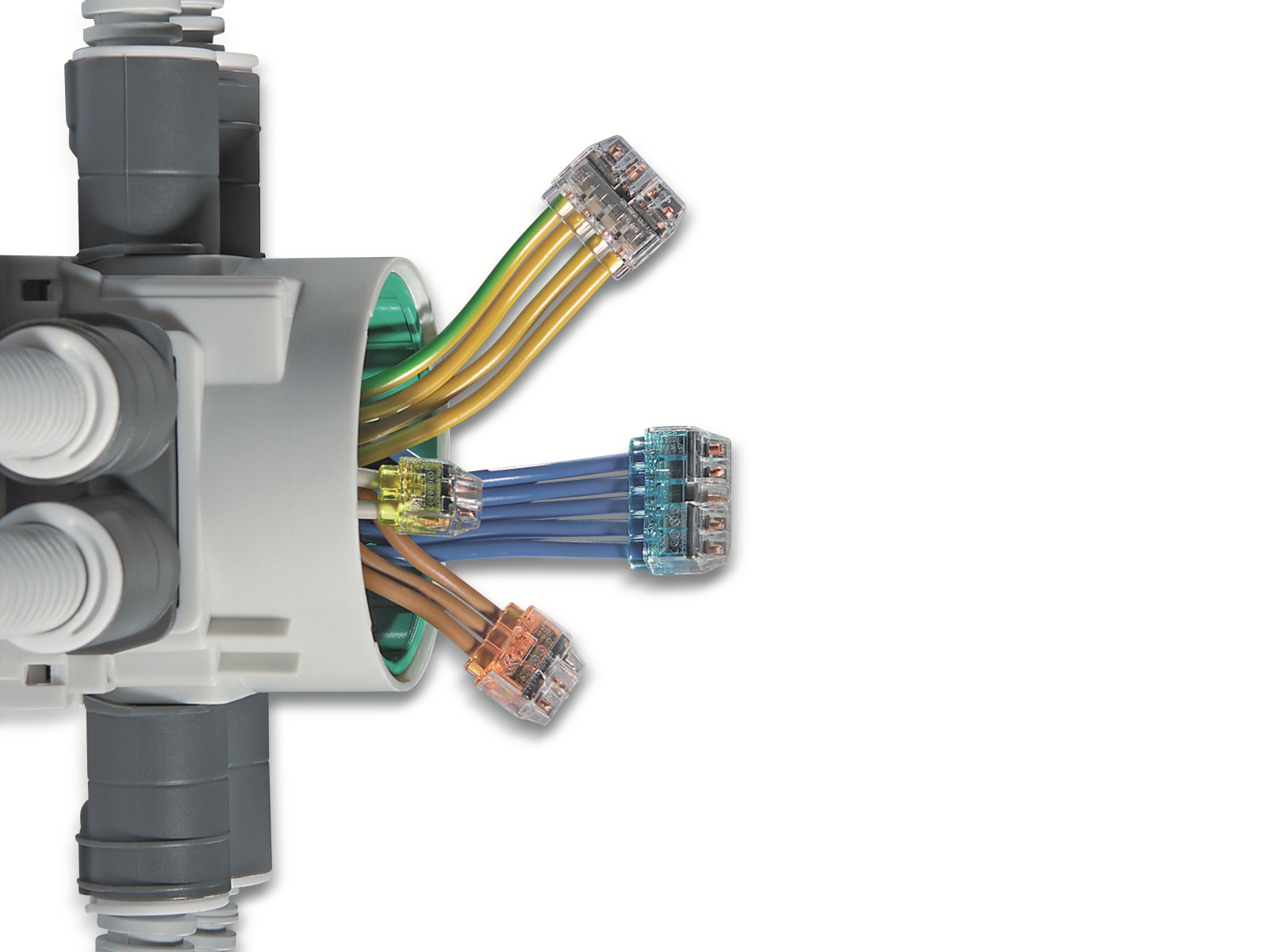 HELLERMANNTYTON Verbindungsklemme, 148-90056, HCPM-4-Blister, transparent, 10 Stück