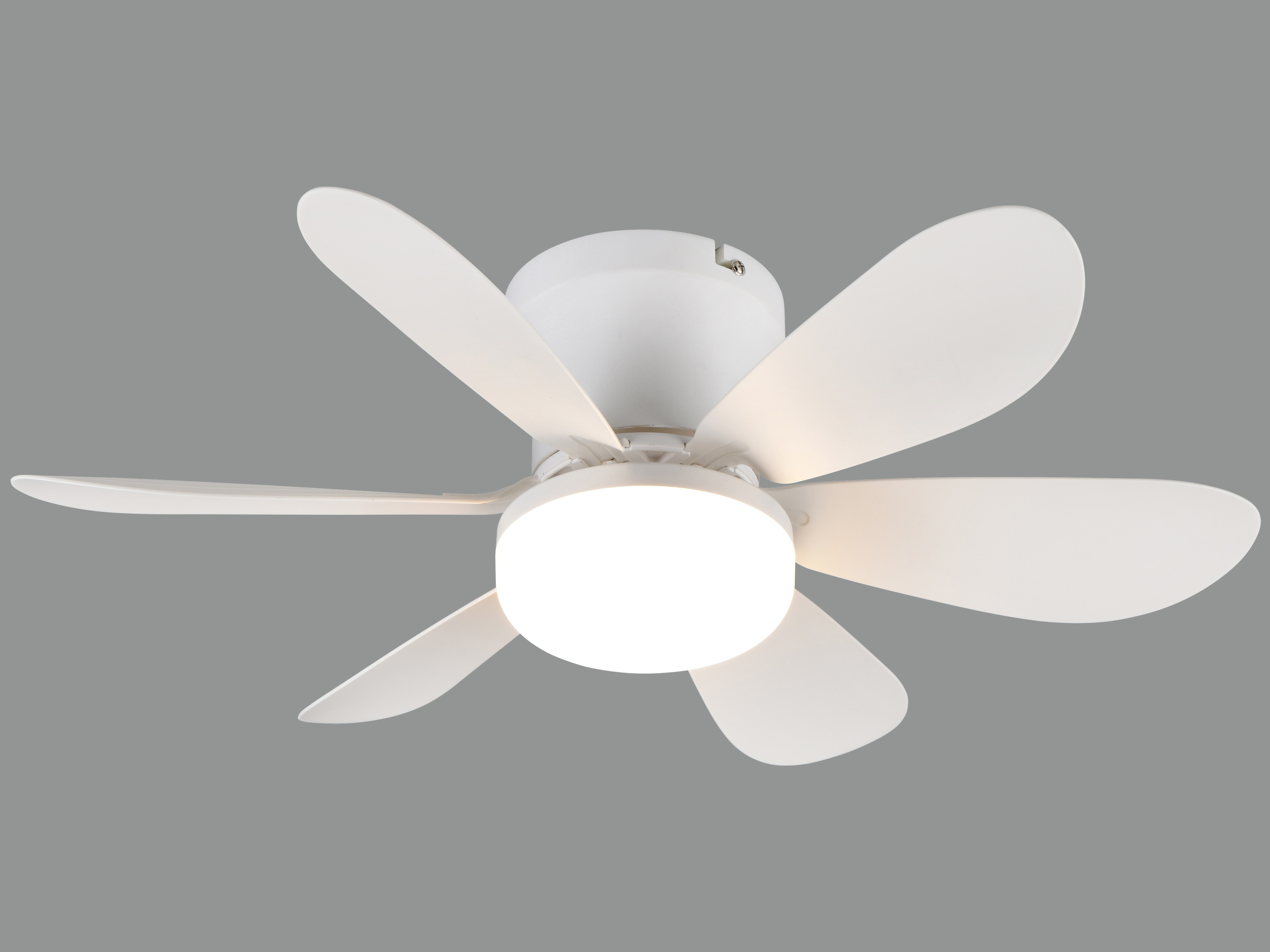 REALITY LED-Deckenleuchte mit Ventilator Lund R67462131, 20W, 2700... 6500K, 850lm, CCT, IP20, weiß