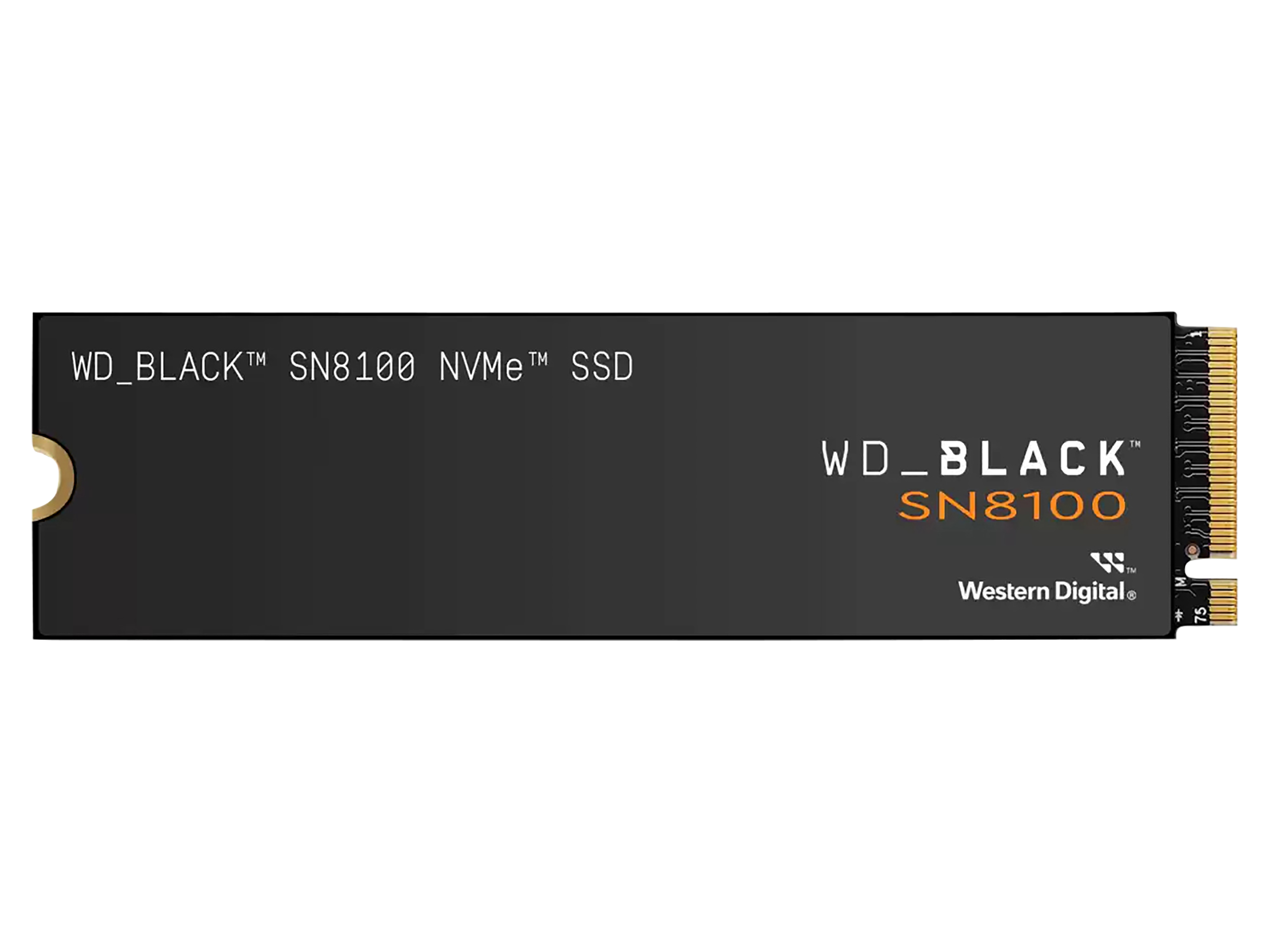 WESTERN DIGITAL M.2 SSD Black SN8100 1TB WD M.2 SSD Black SN8100 1TB