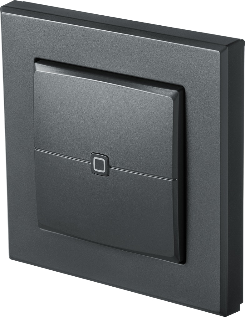 HOMEMATIC IP 159881A0, Wandtaster 2-fach, anthrazit HOMEMATIC IP 159881A0, Wandtaster 2-fach, anthrazit
