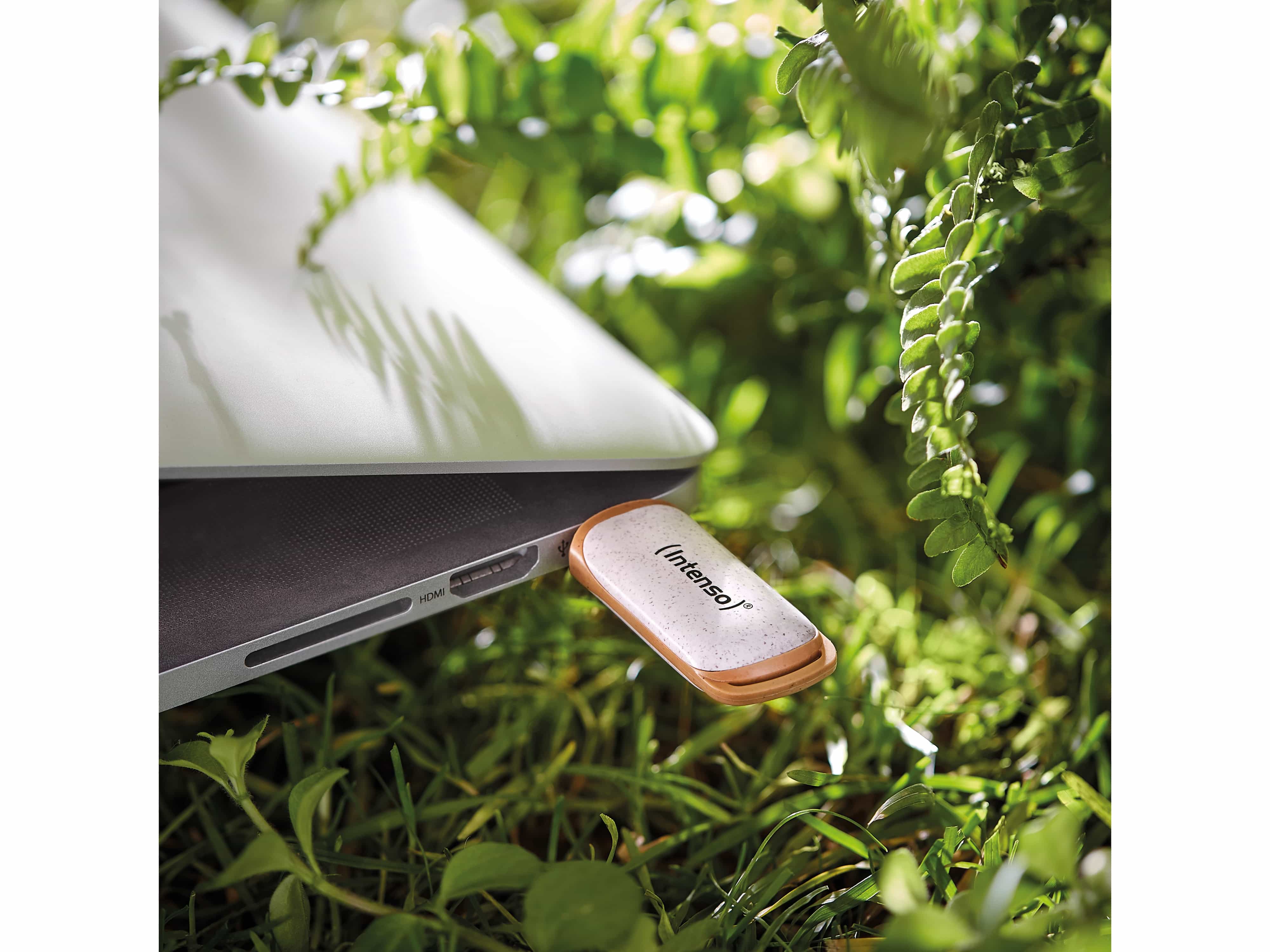 INTENSO USB-Stick Green Line 3540491 USB 3.2 128GB INTENSO USB 3.2-Stick INTENSO Green Line, 128 GB, beige/braun