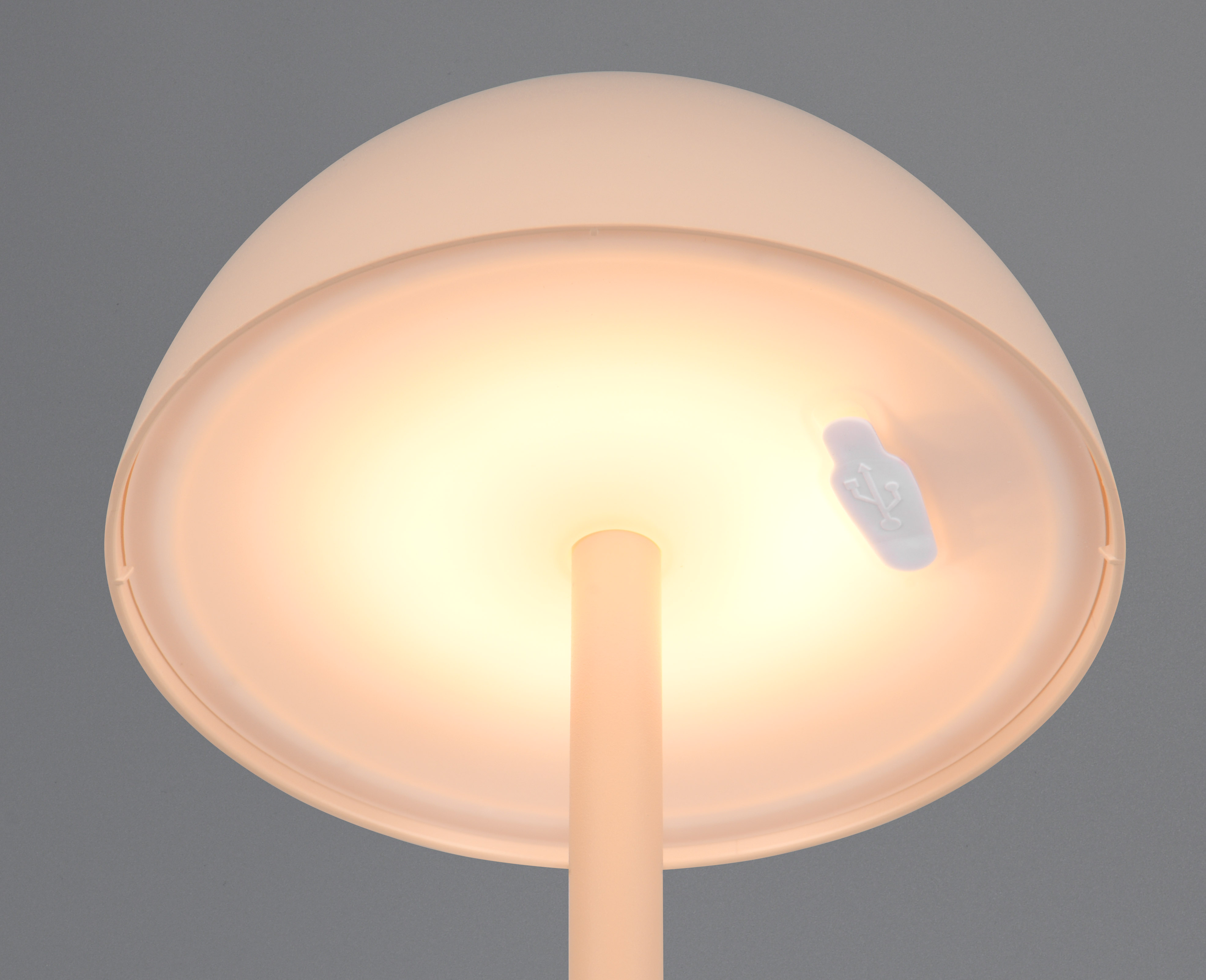 REALITY LED-Akku-Tischleuchte Ricardo R54106166 sandfarbig, IP54, 1,7 W, 240 lm, 3000 K REALITY LED-Akku-Tischleuchte Ricardo R54106166 sandfarbig, IP54, 1,7 W, 240 lm, 3000 K