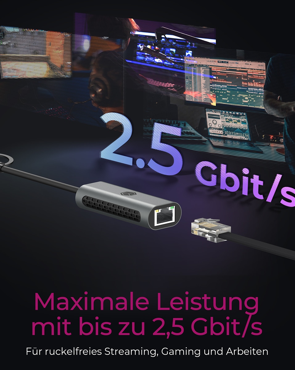 ICY BOX Netzwerkadapter IB-LAN301-C3 ICY BOX Netzwerkadapter IB-LAN301-C3